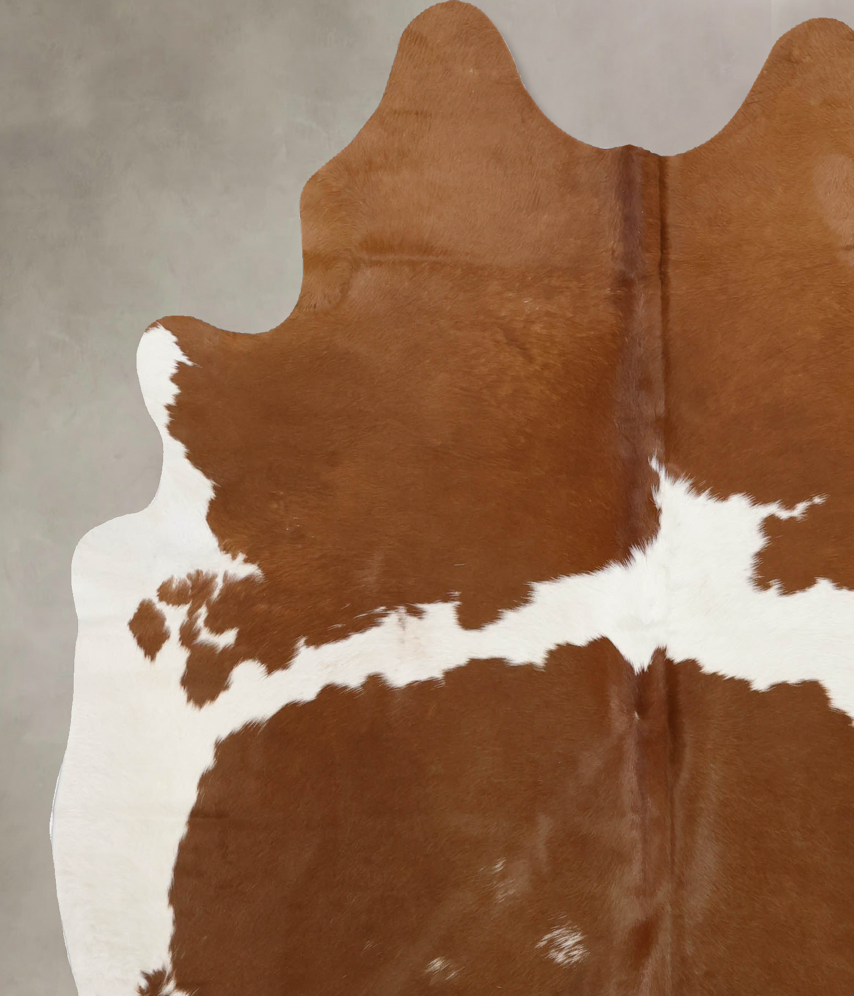 Brown and White Cowhide Rug #B10391