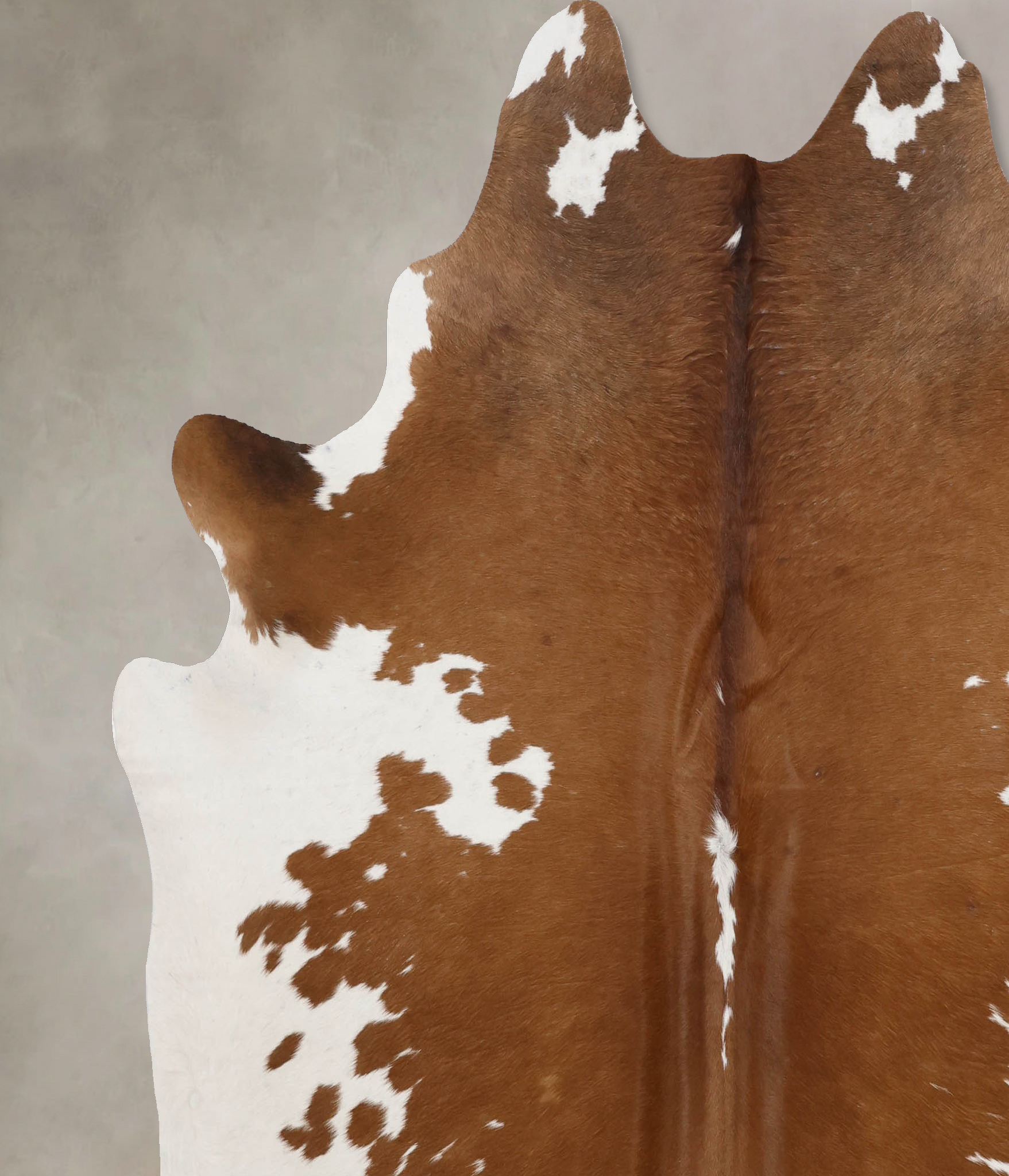 Brown and White Cowhide Rug #B10392