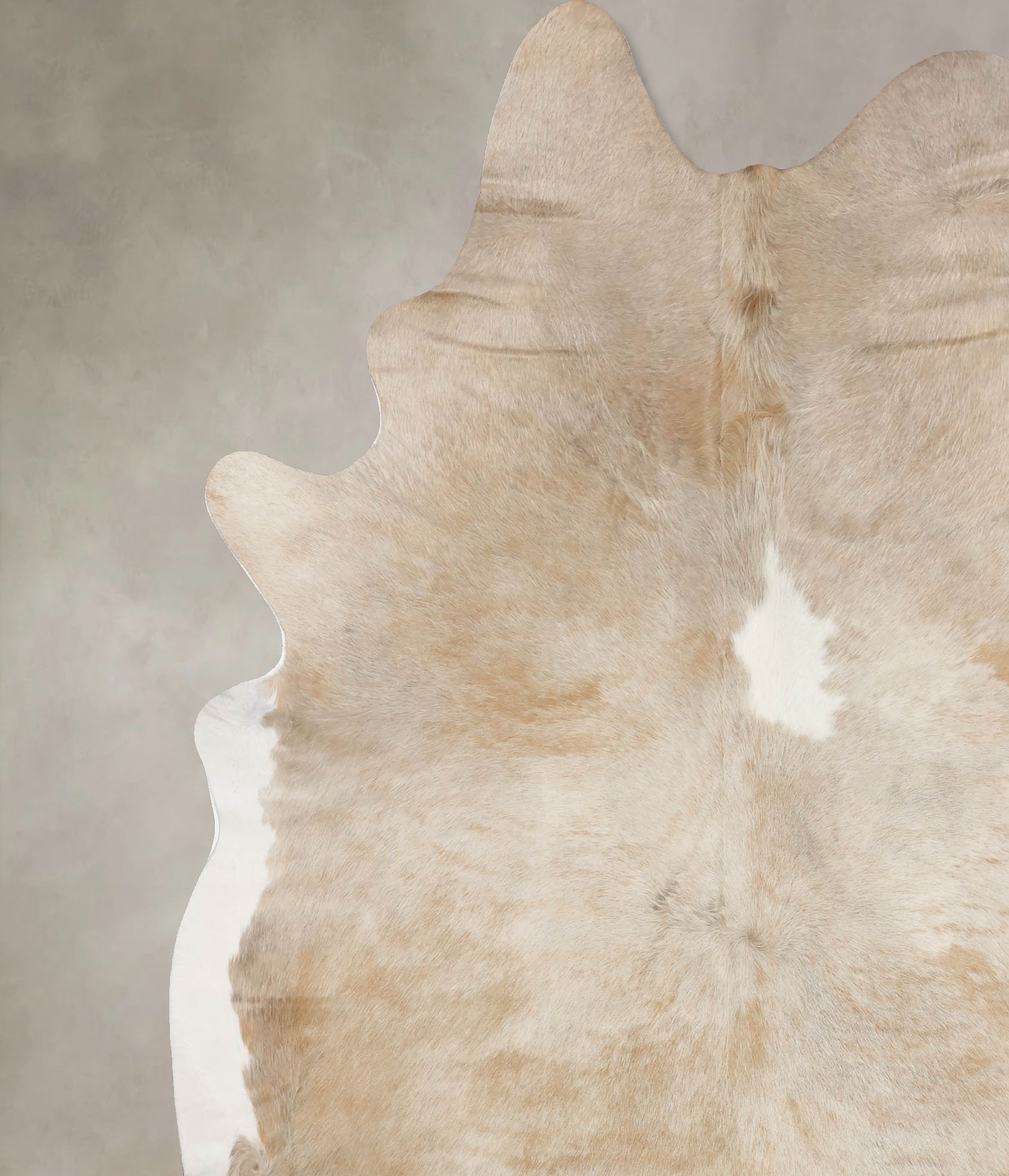 Caramel Cowhide Rug #B10410