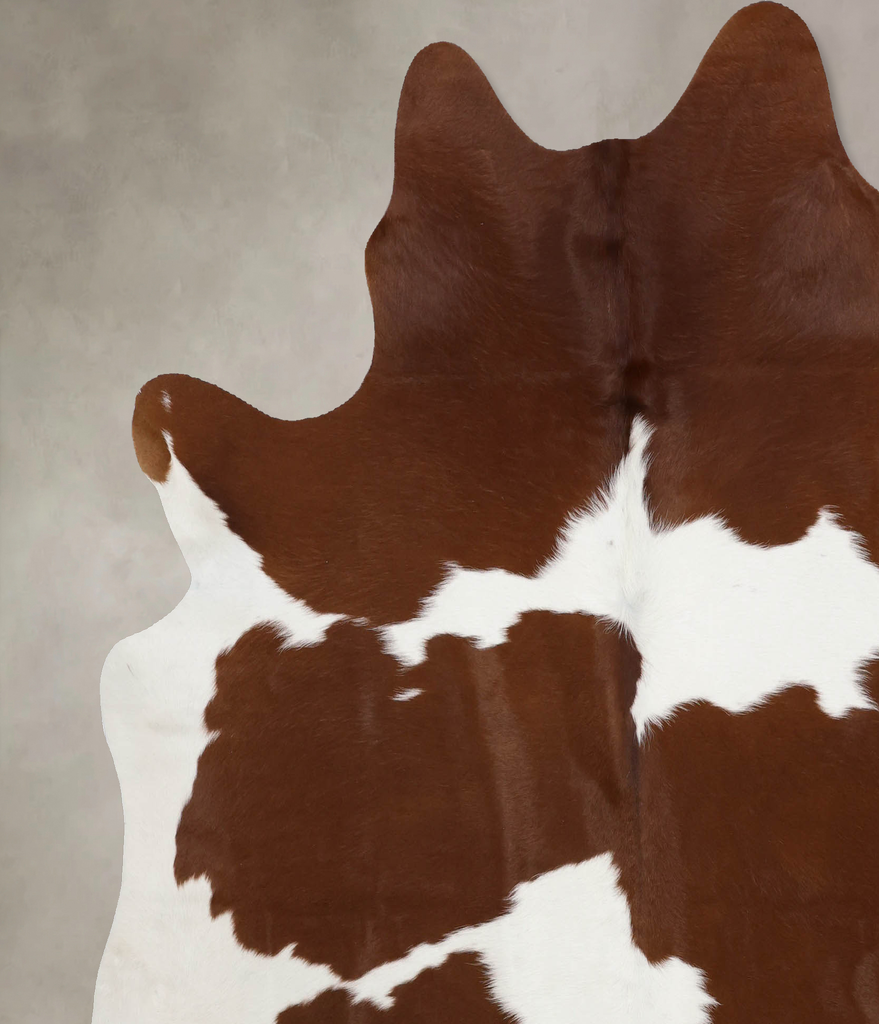 Brown and White Cowhide Rug #B10474