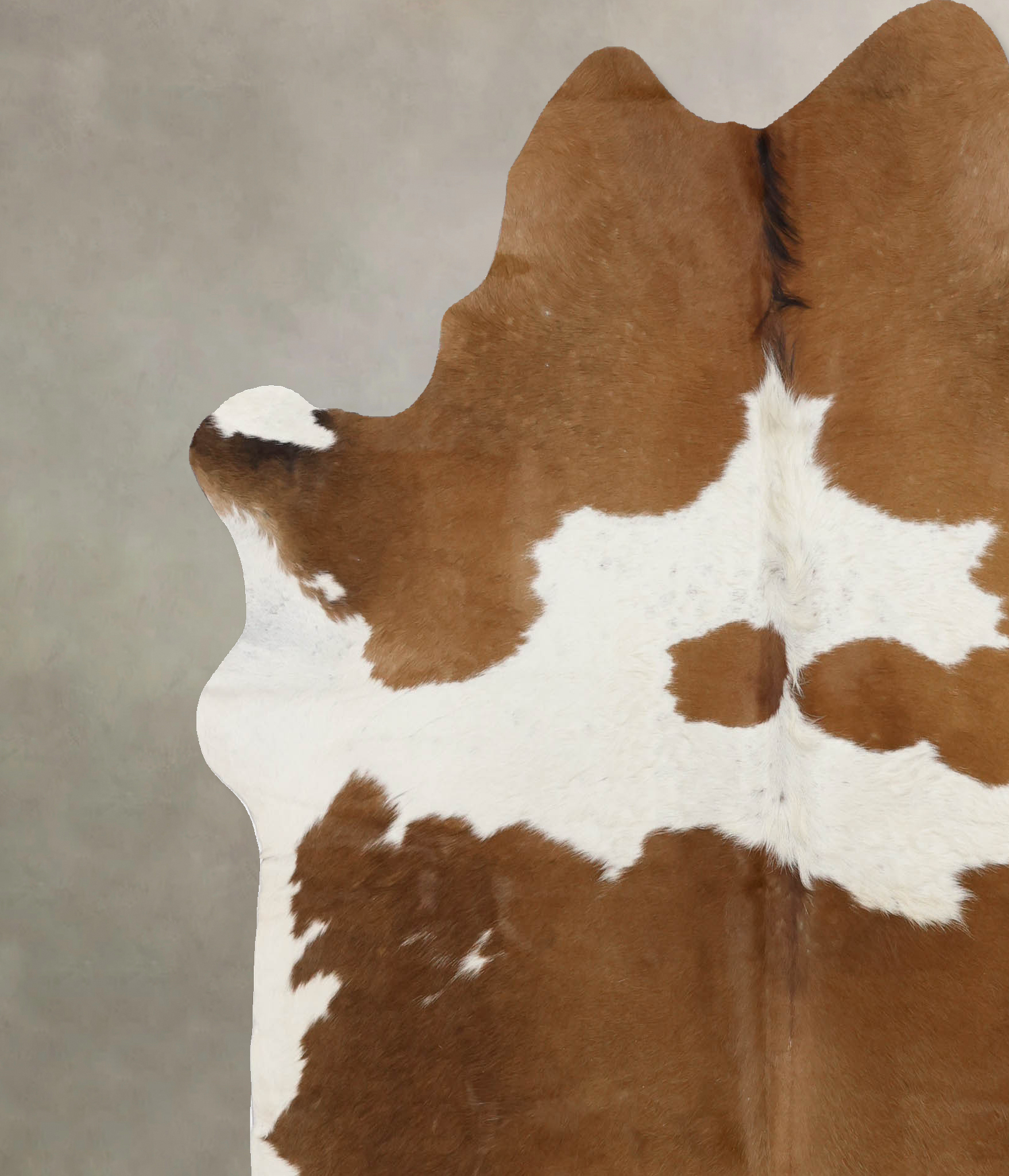 Brown and White Cowhide Rug #B10476