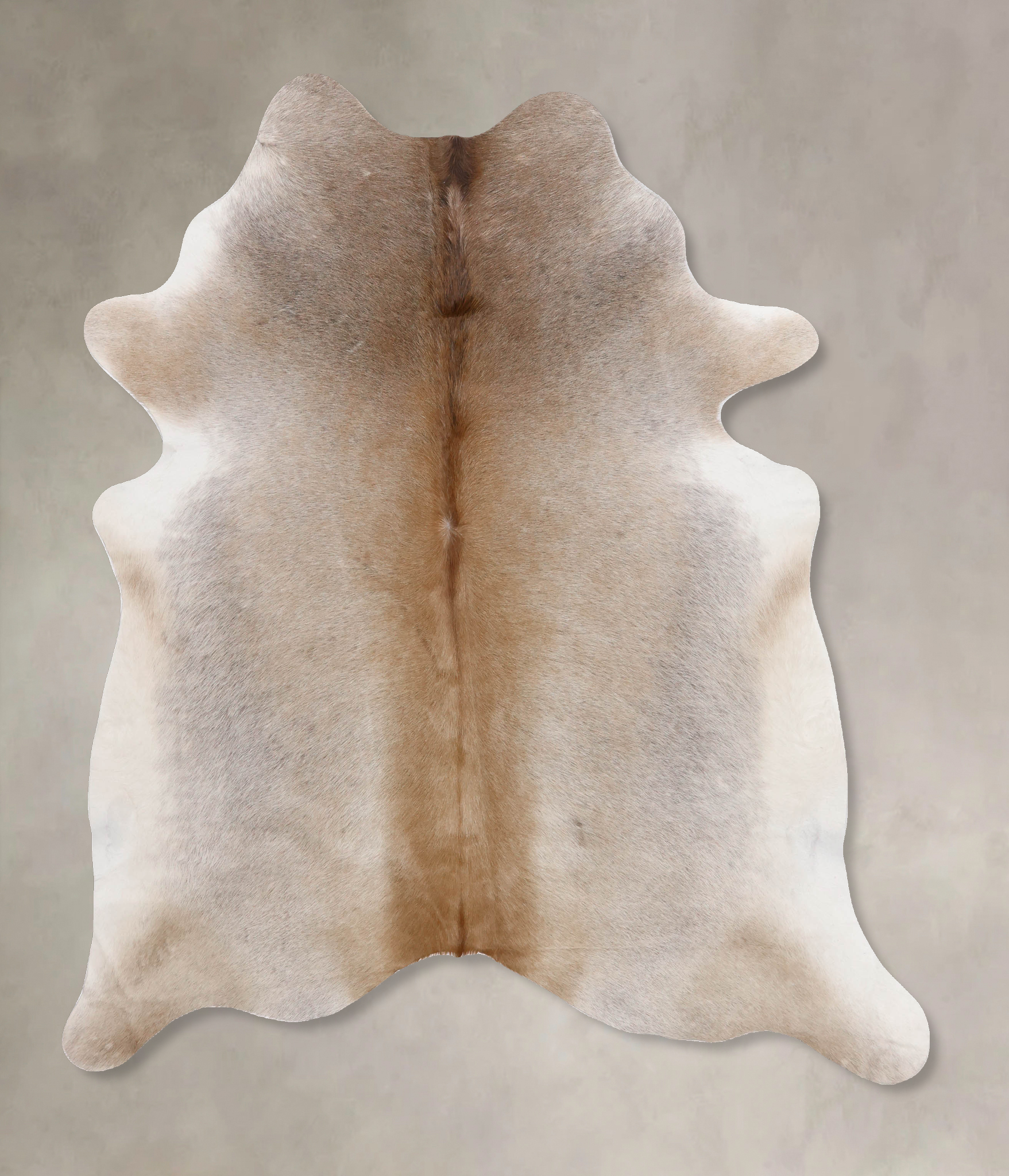 Grey with Beige Cowhide Rug #B10599