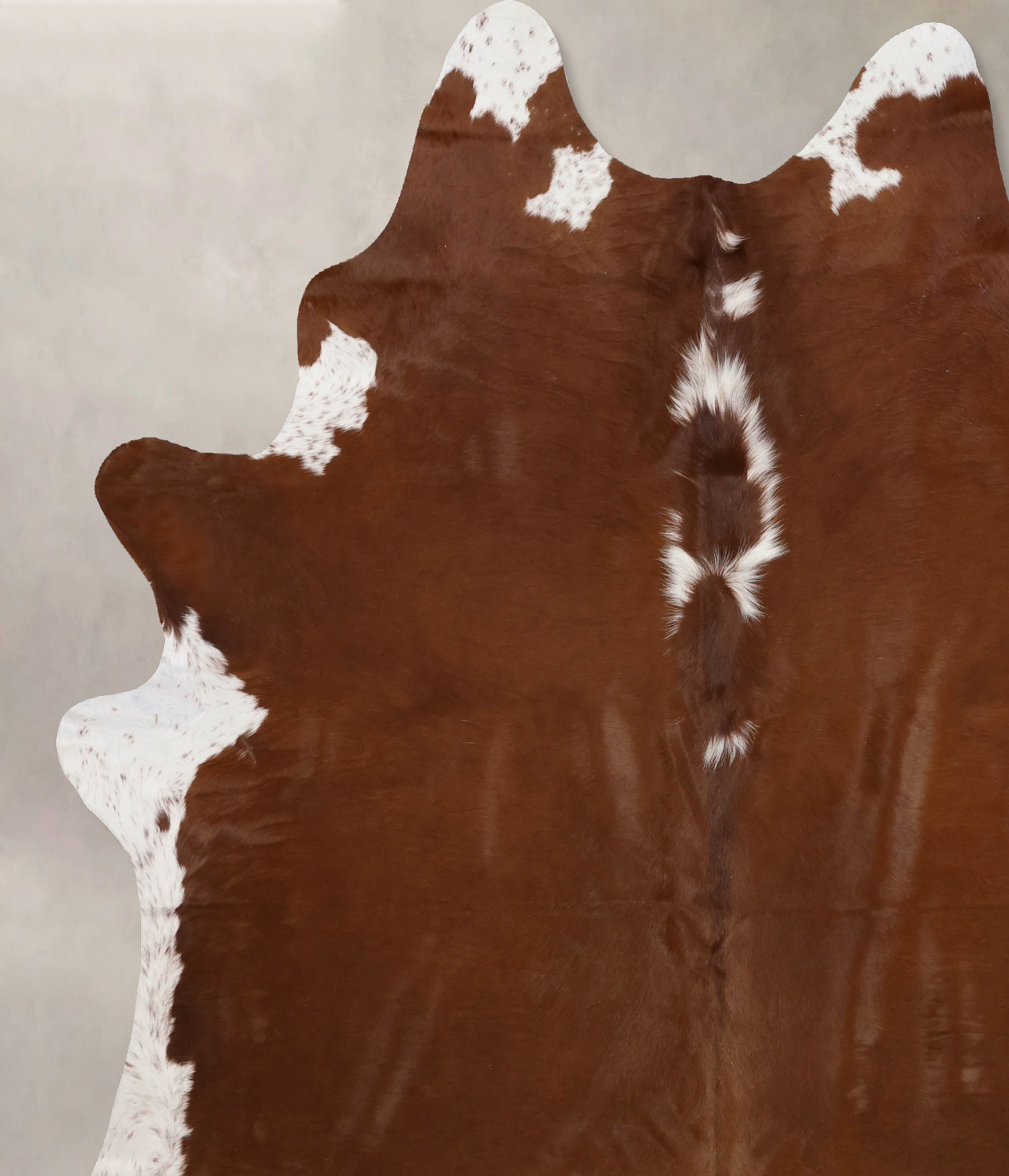 Brown and White Regular Cowhide Rug #B10655