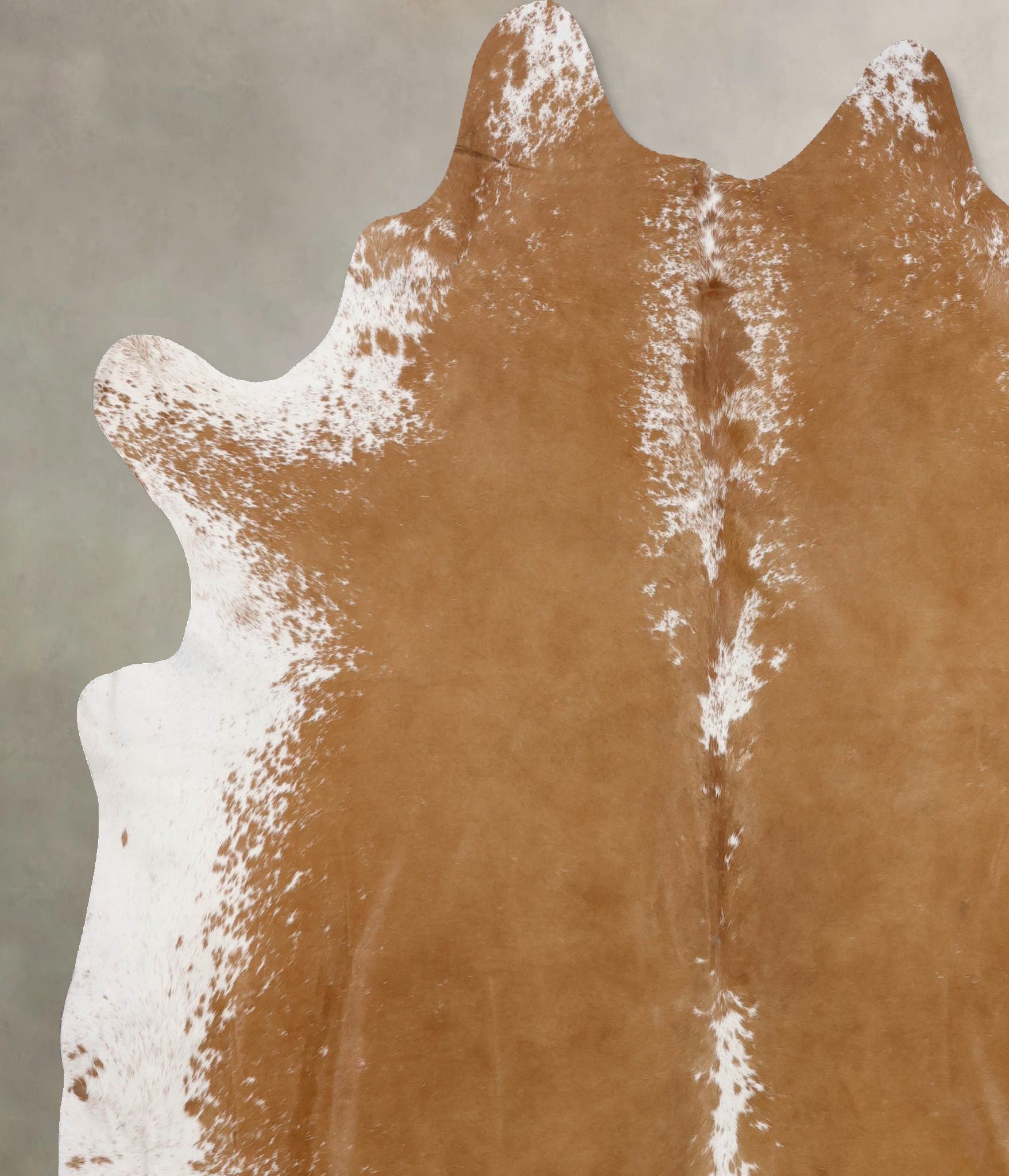 Brown and White Regular Cowhide Rug #B10656