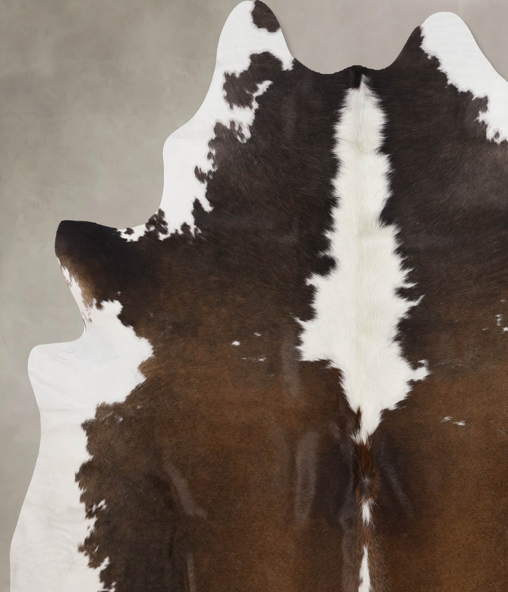 Chocolate and White Cowhide Rug #B10663