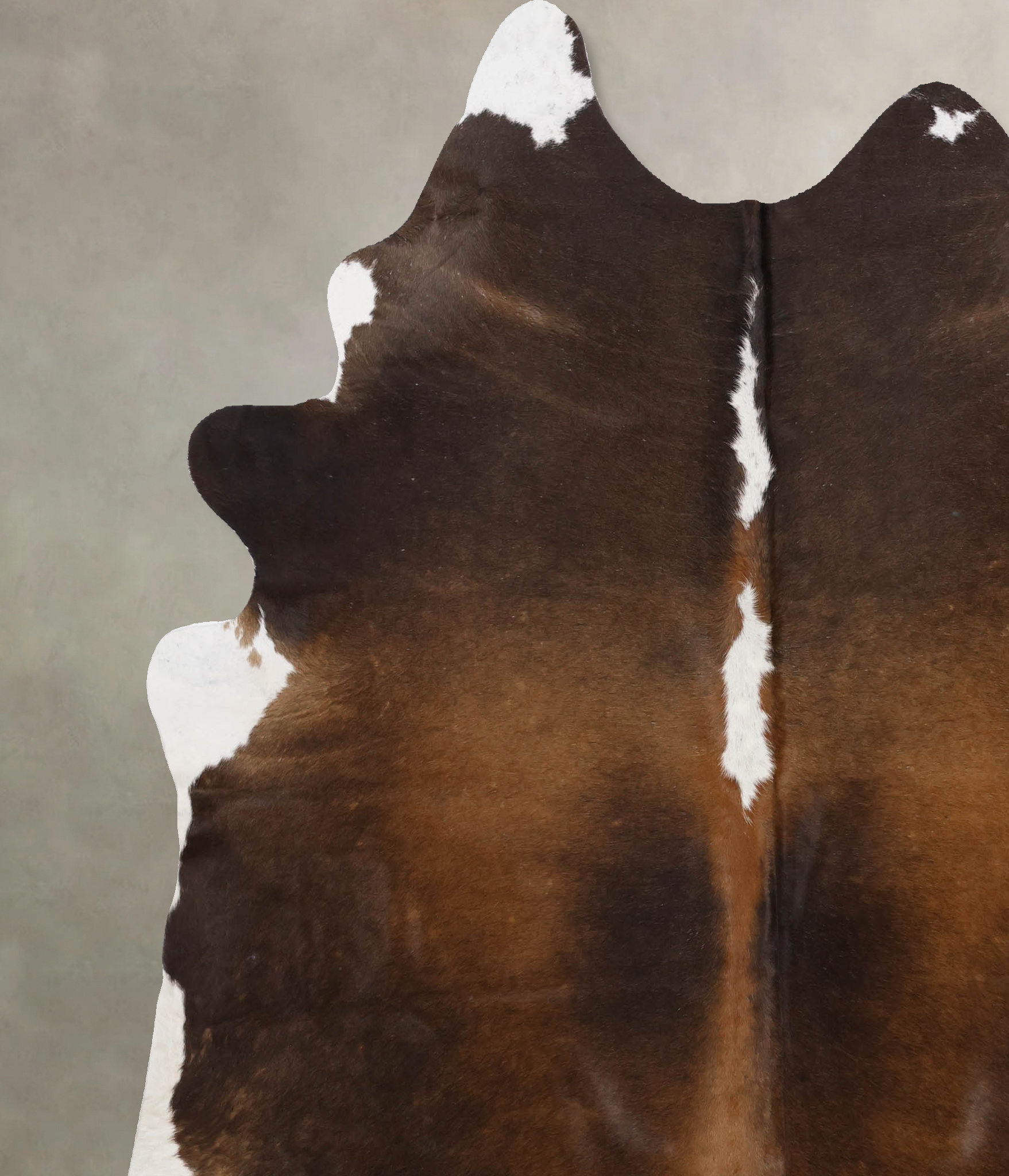 Chocolate and White Cowhide Rug #B10716