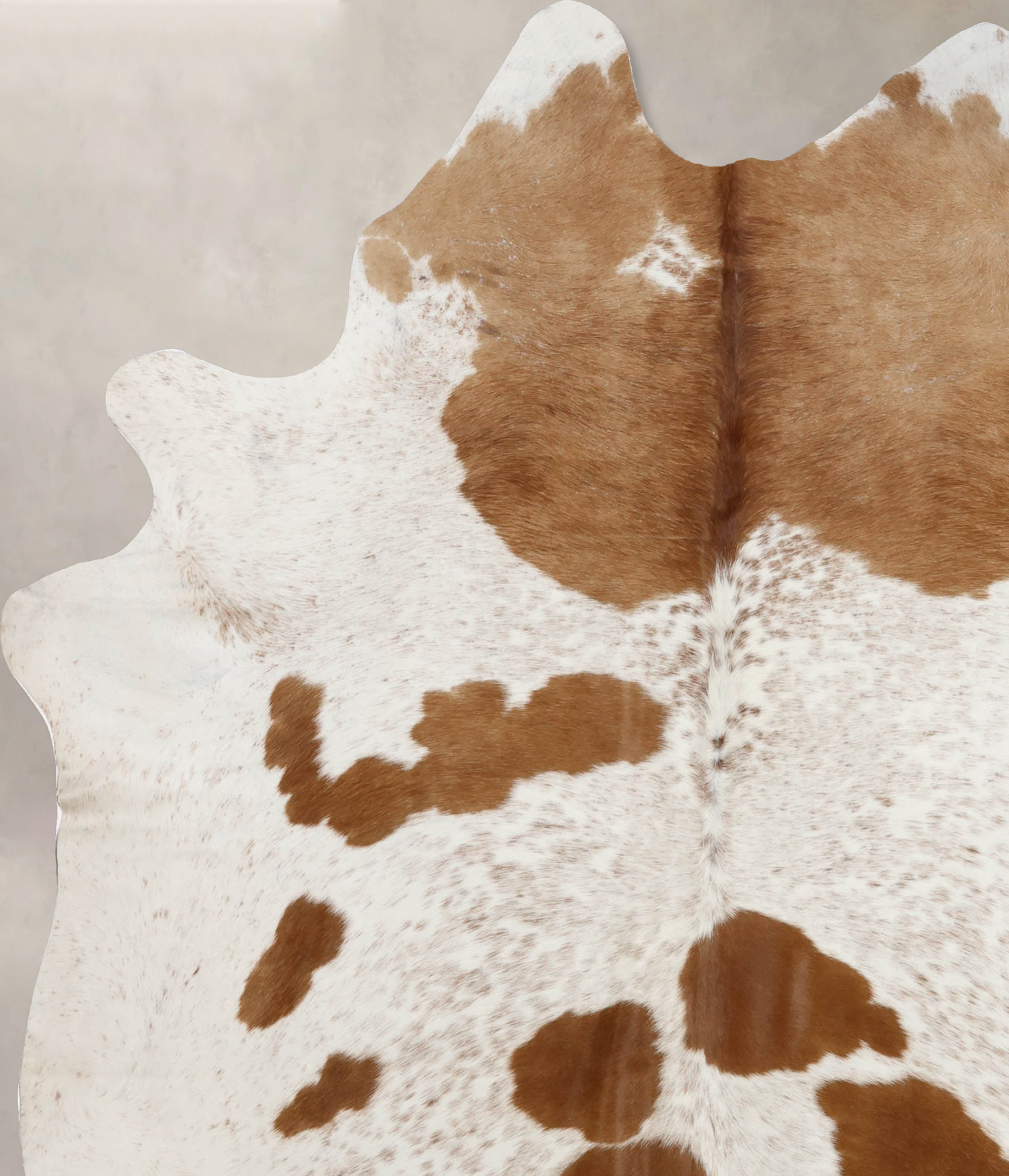 Brown and White Cowhide Rug #B10882