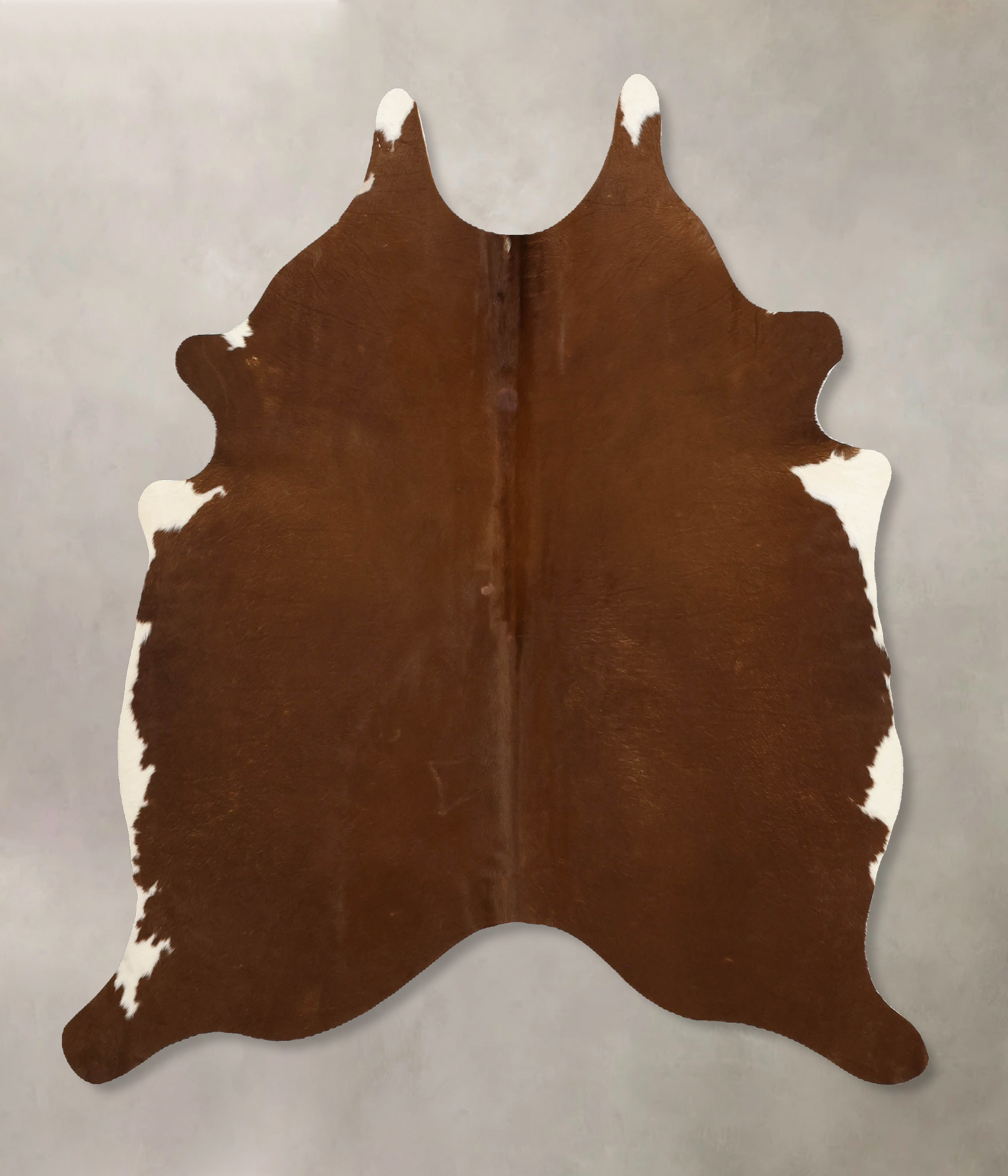 Brown and White Regular Cowhide Rug #B10996