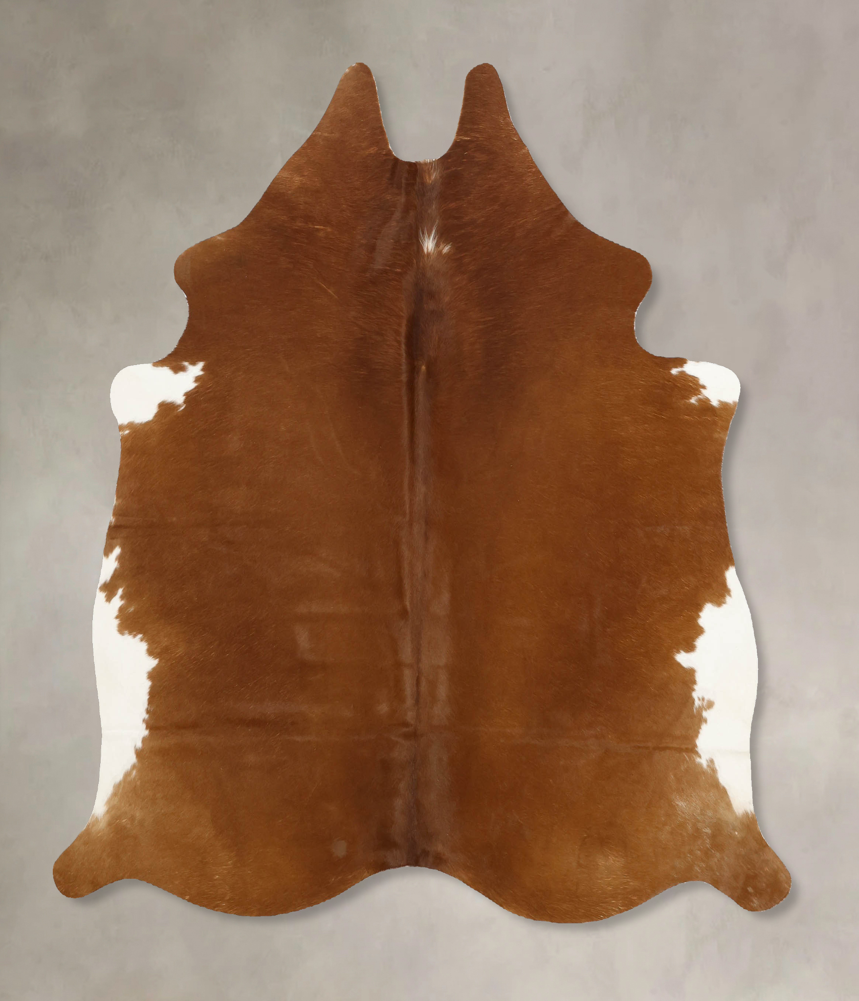 Brown and White Regular Cowhide Rug #B10998