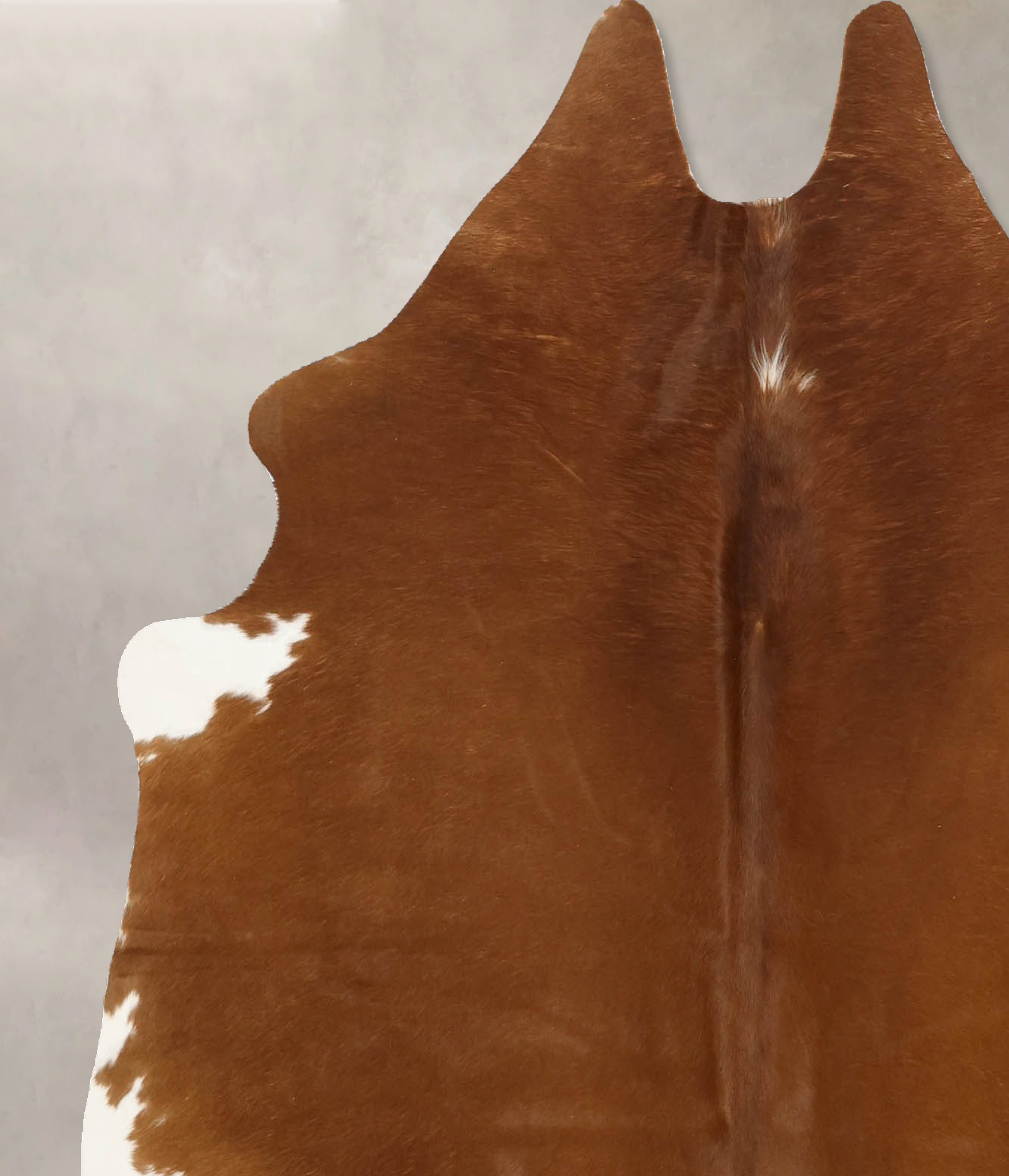 Brown and White Regular Cowhide Rug #B10998