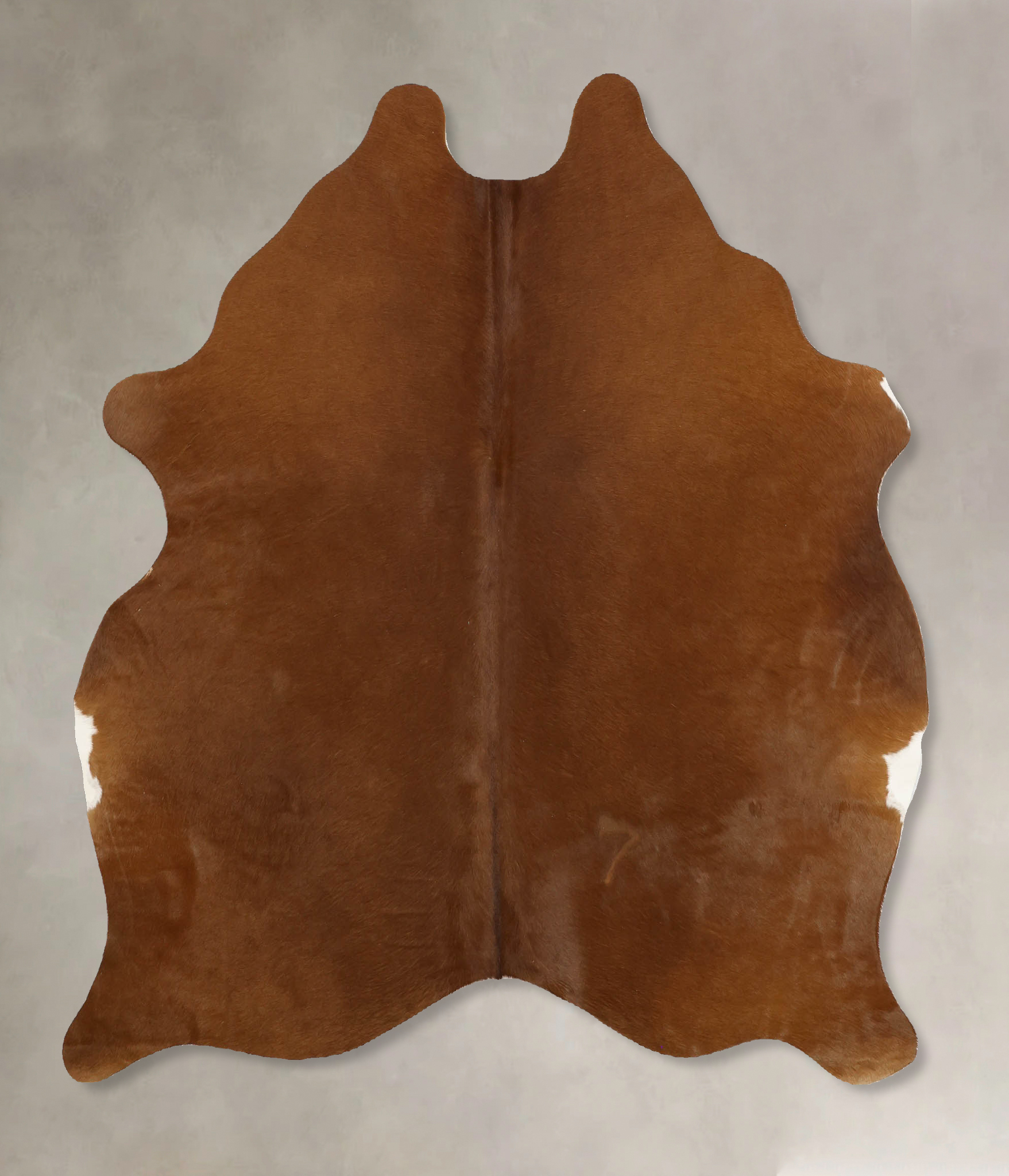 Solid Brown Cowhide Rug #B11001