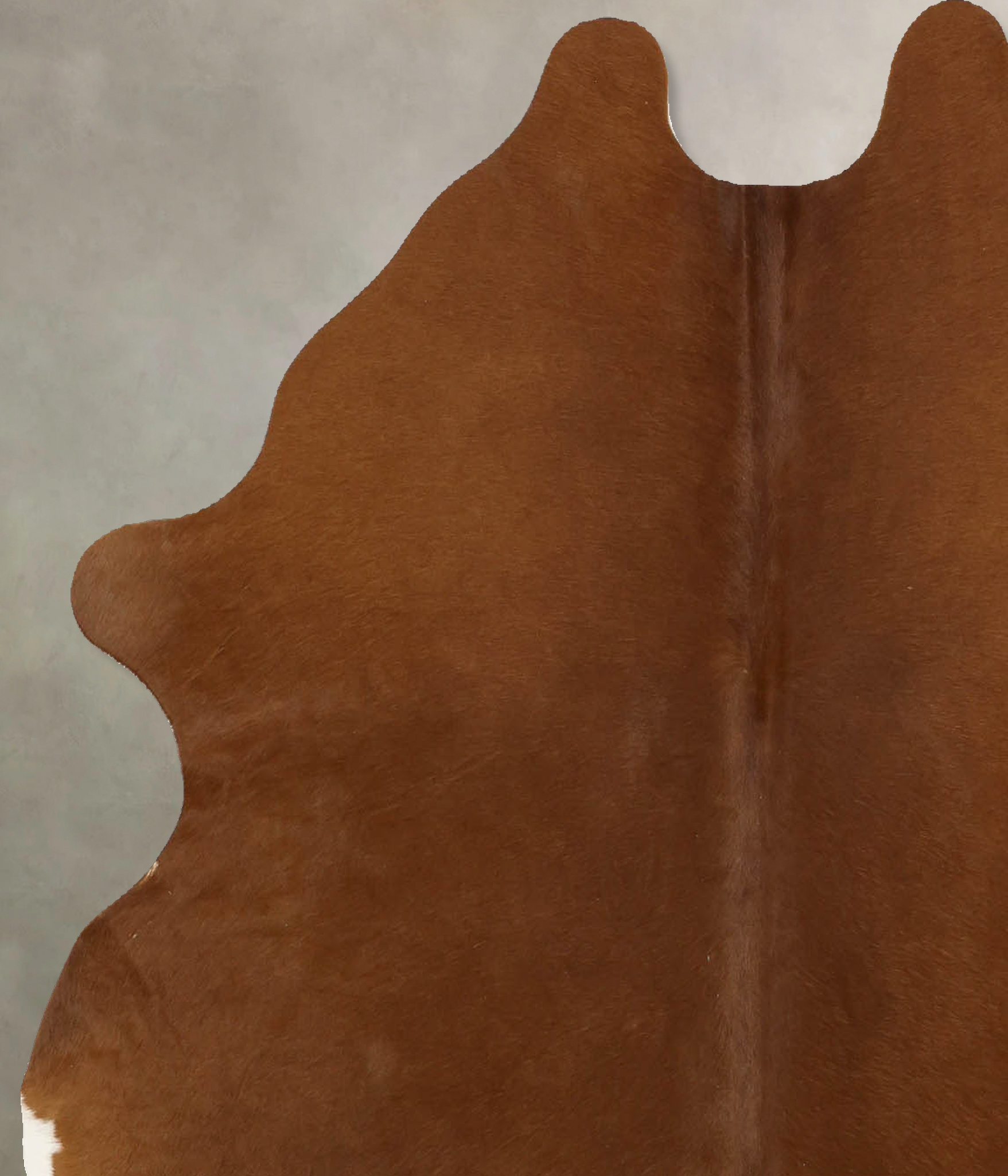 Solid Brown Cowhide Rug #B11001