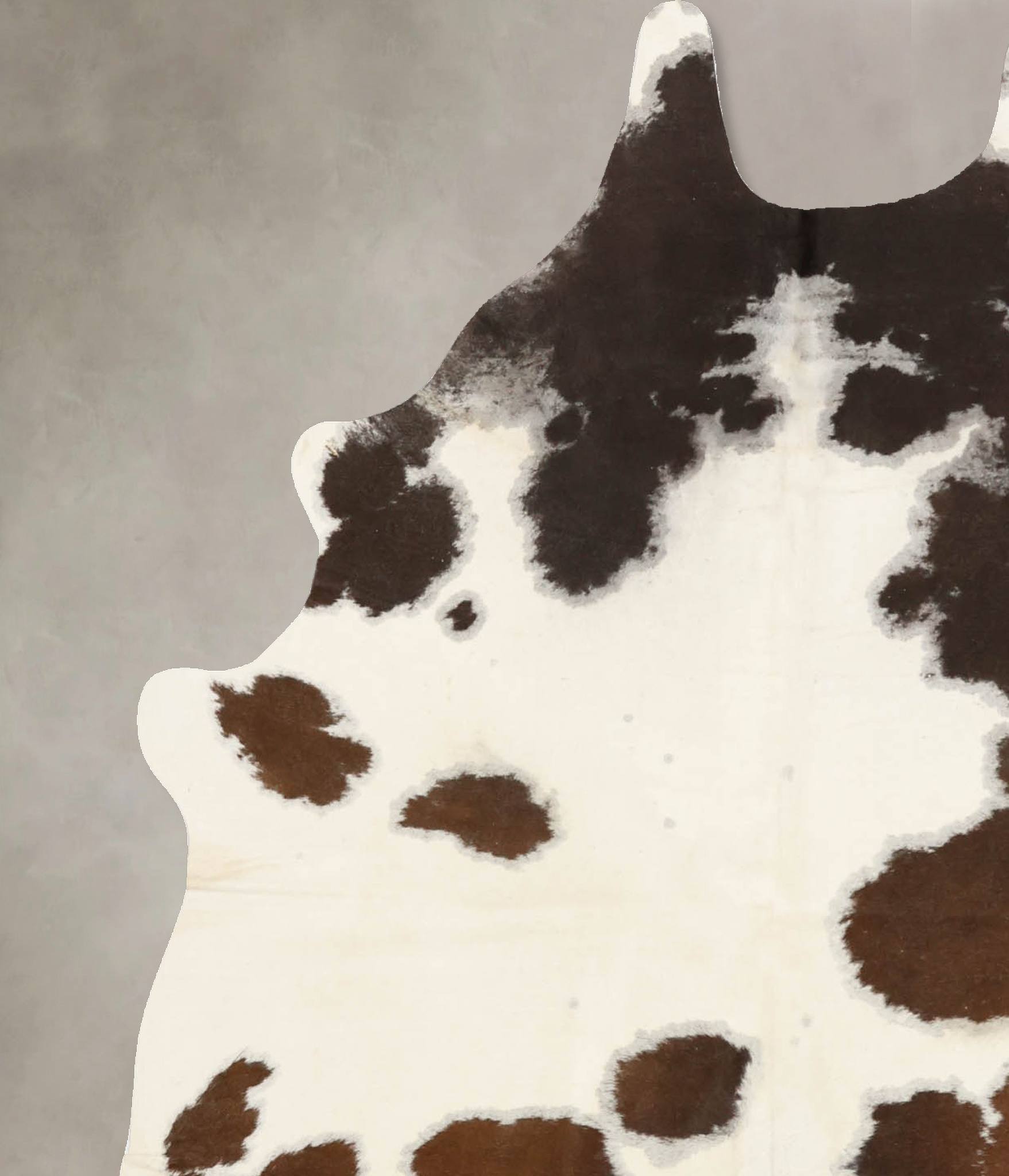 Chocolate and White Cowhide Rug #B11017