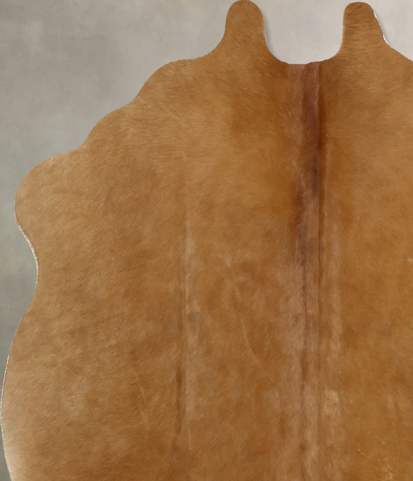 Solid Brown Cowhide Rug #B11023