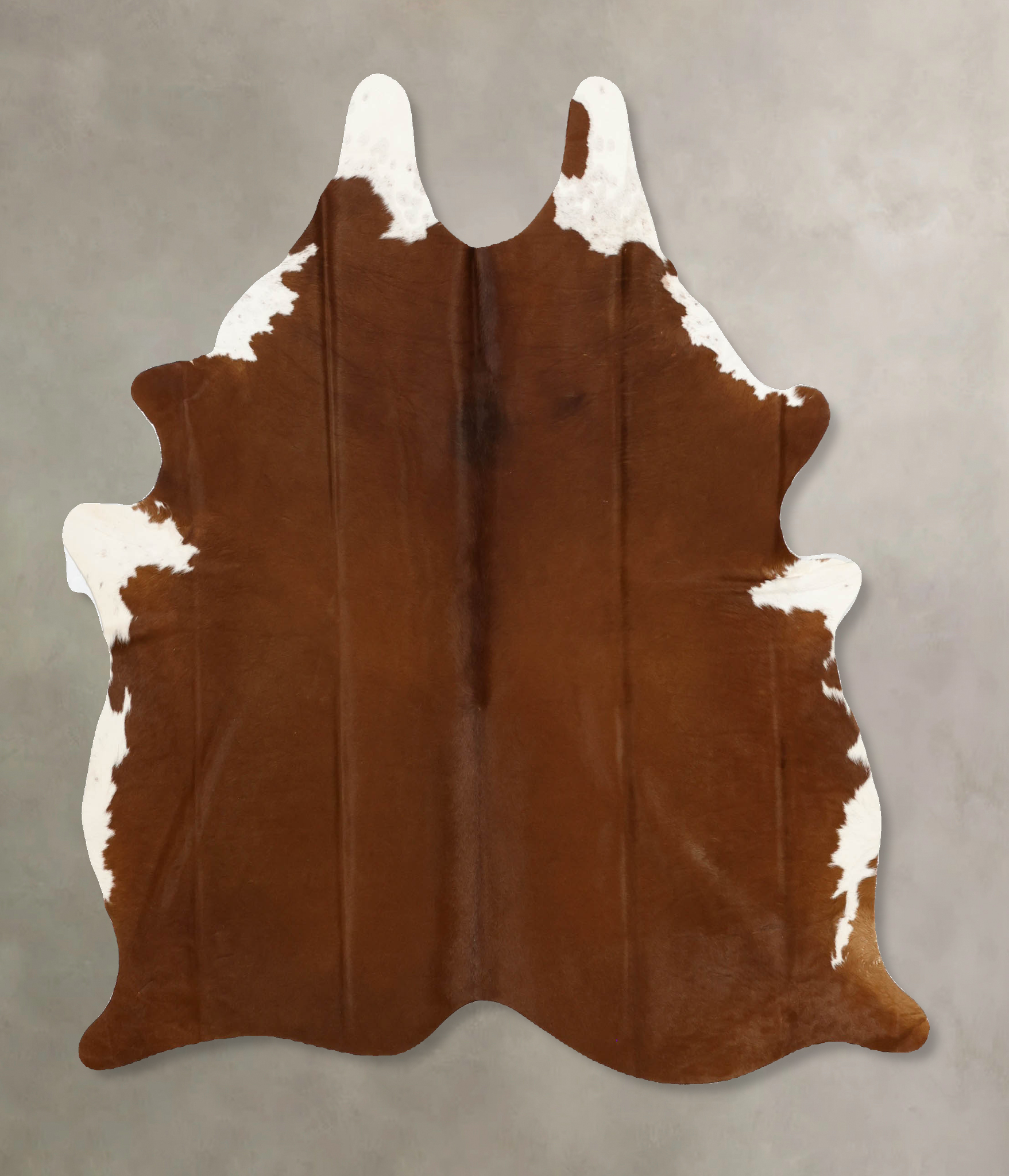 Brown and White Regular Cowhide Rug #B11029