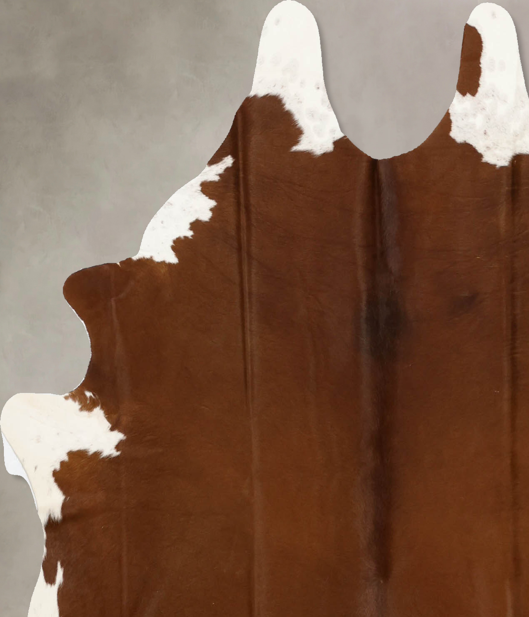 Brown and White Regular Cowhide Rug #B11029