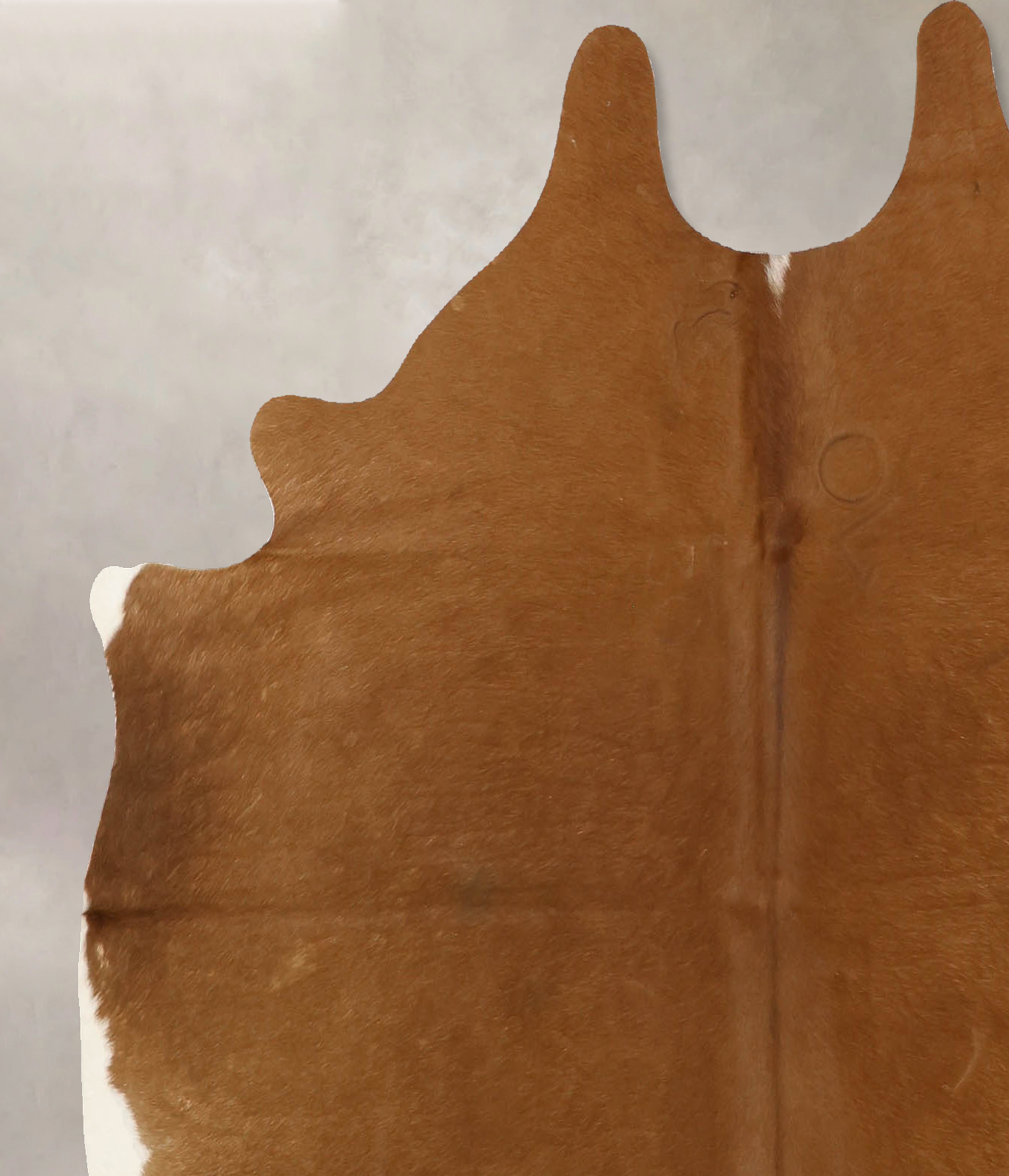 Solid Brown Cowhide Rug #B11048