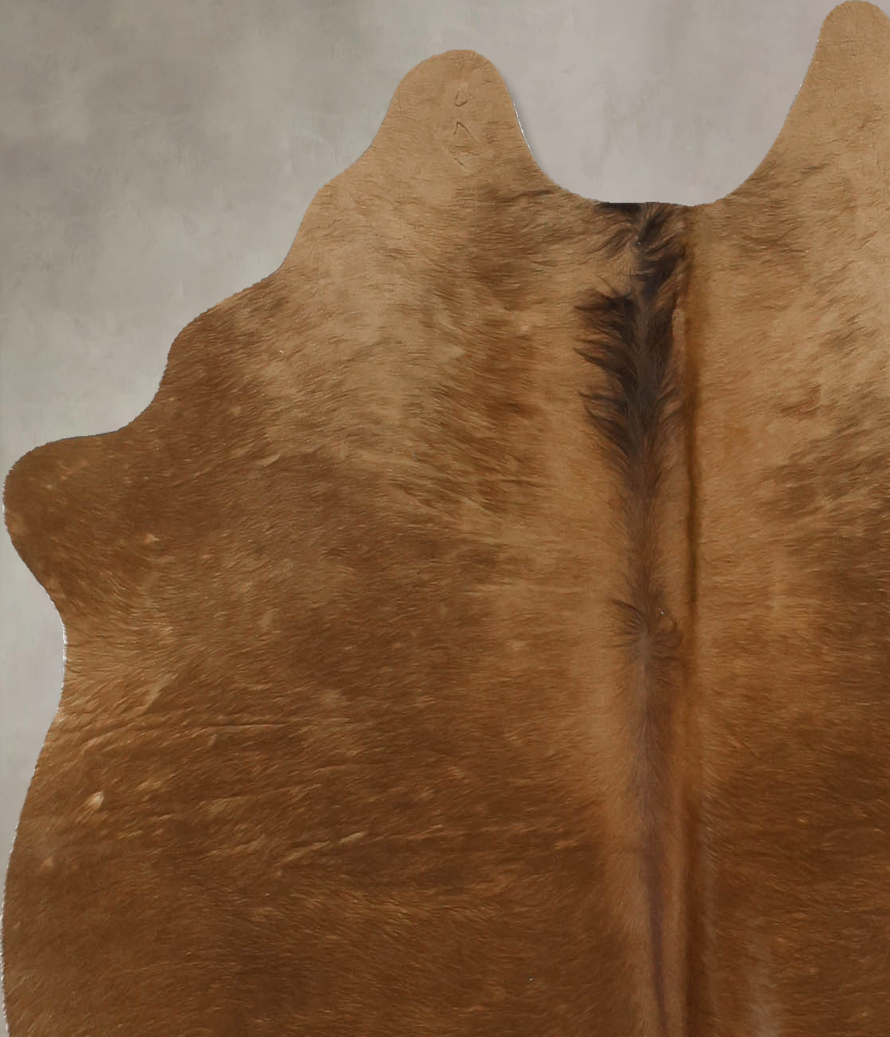 Solid Brown Cowhide Rug #B11057