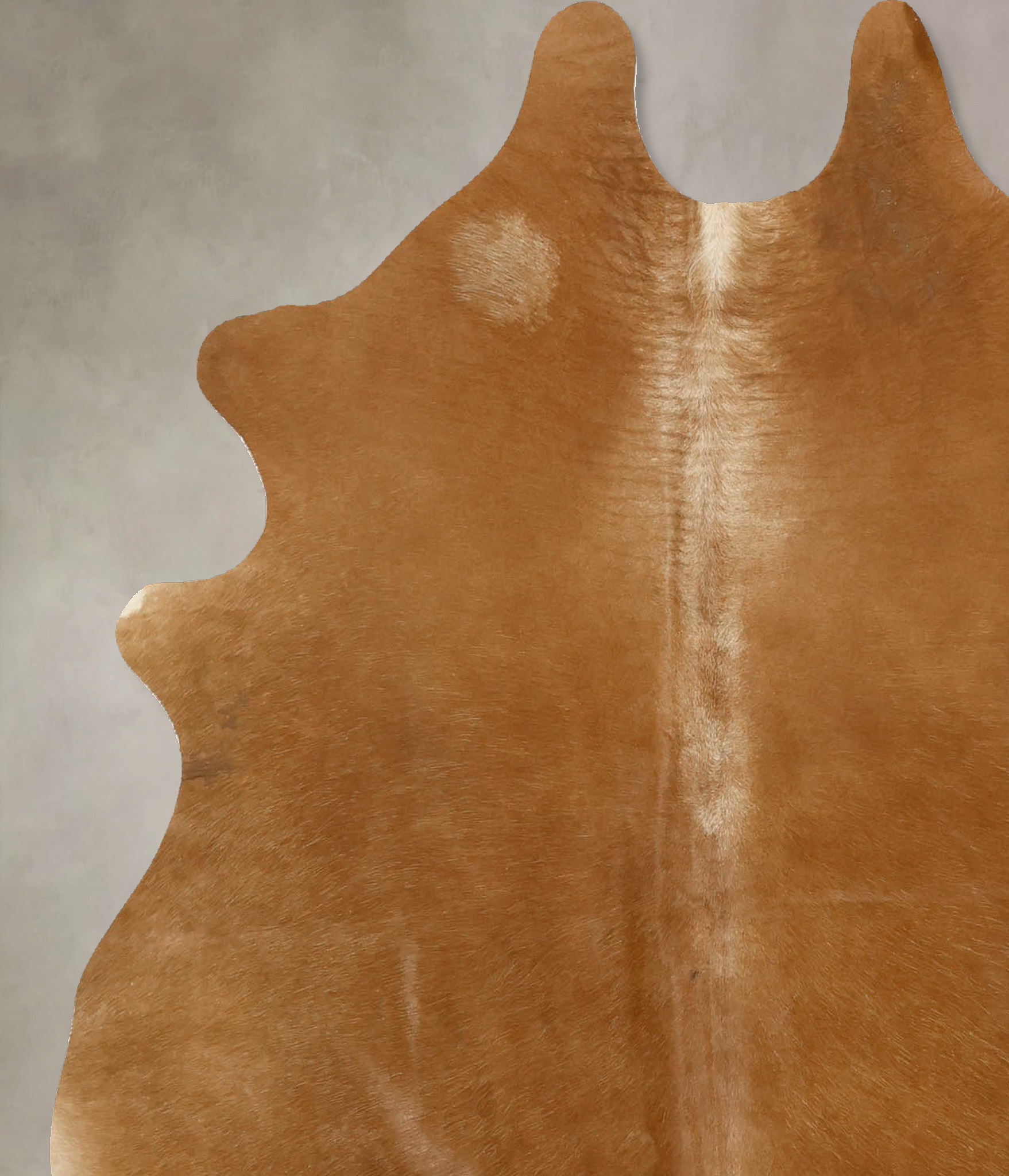 Solid Brown Cowhide Rug #B11070