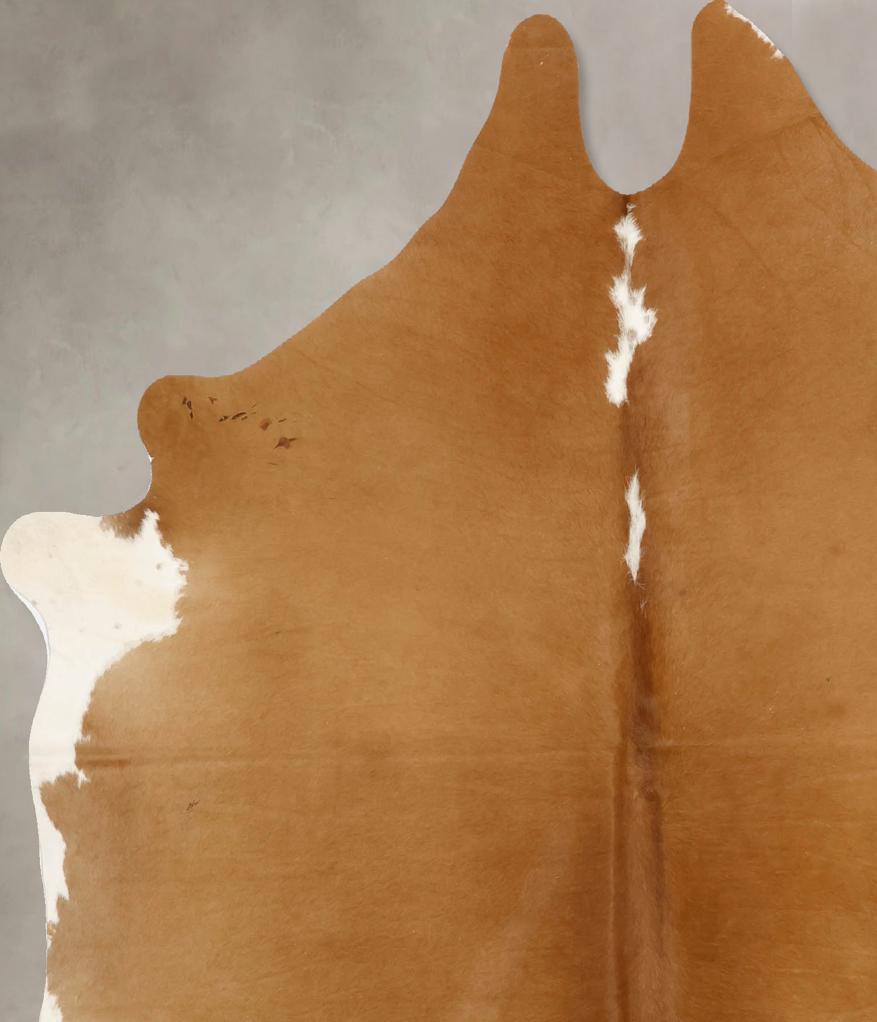 Brown and White Regular Cowhide Rug #B11085