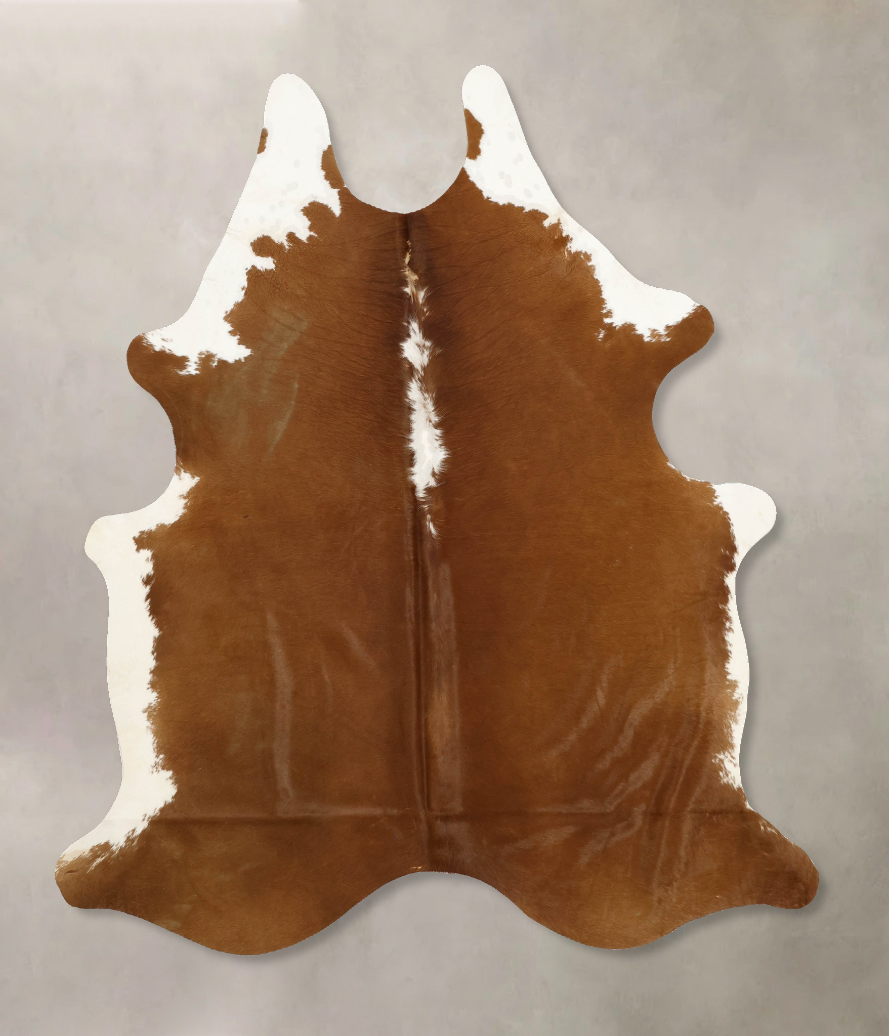 Brown and White Regular Cowhide Rug #B11093