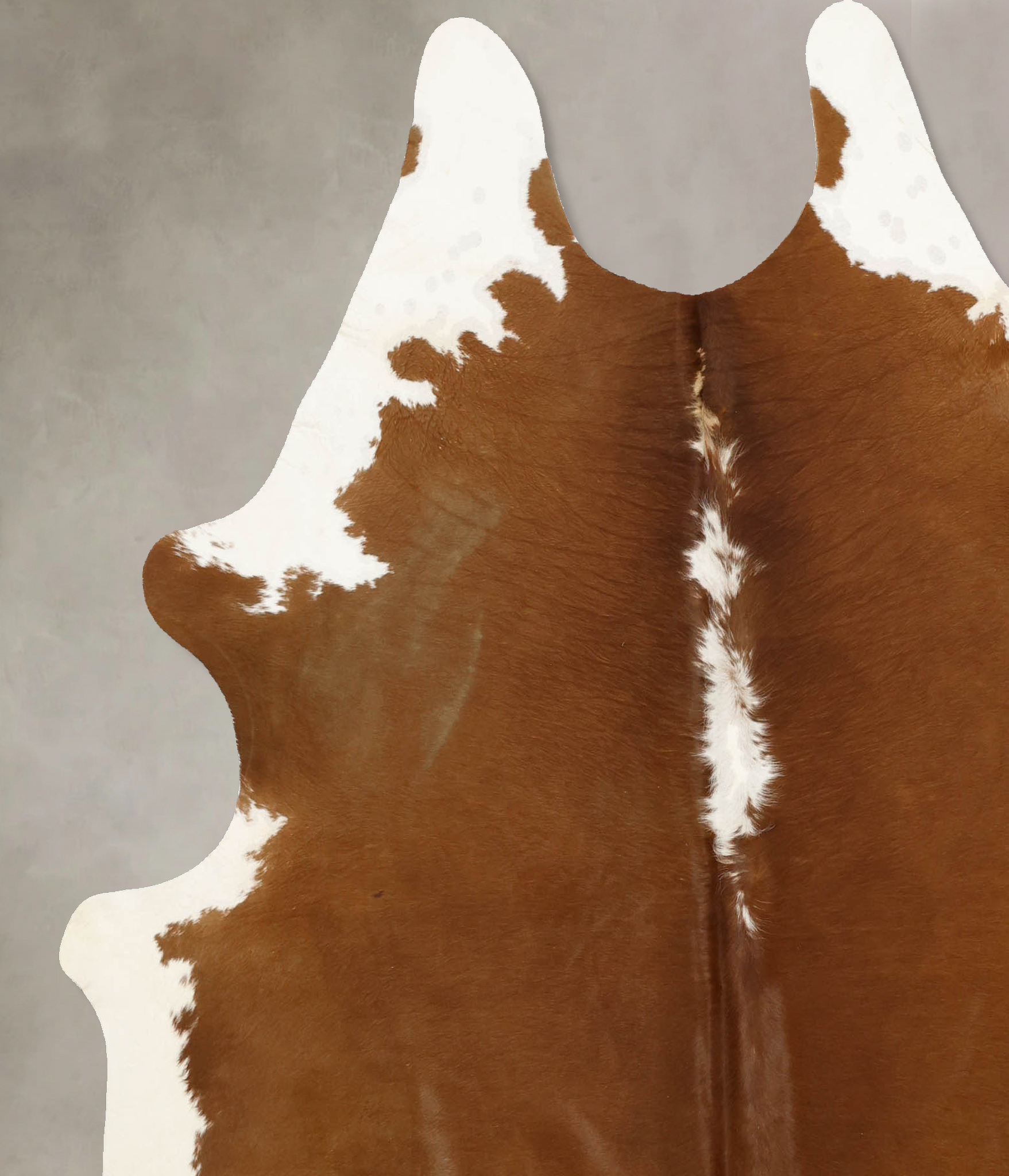 Brown and White Regular Cowhide Rug #B11093