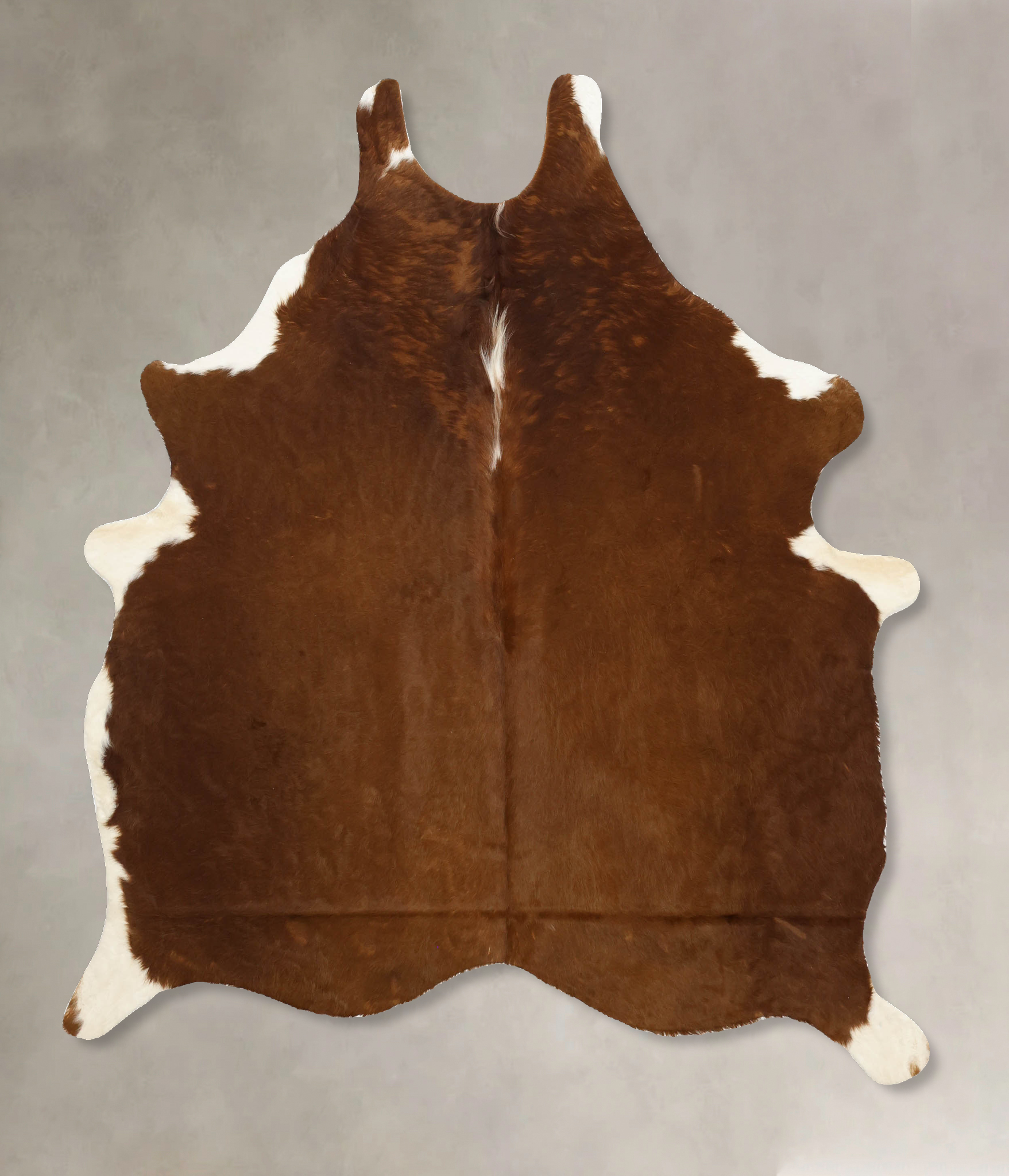 Brown and White Regular Cowhide Rug #B11095