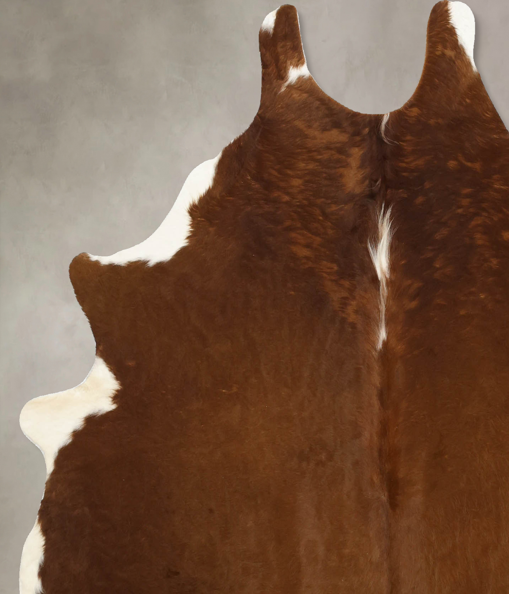 Brown and White Regular Cowhide Rug #B11095