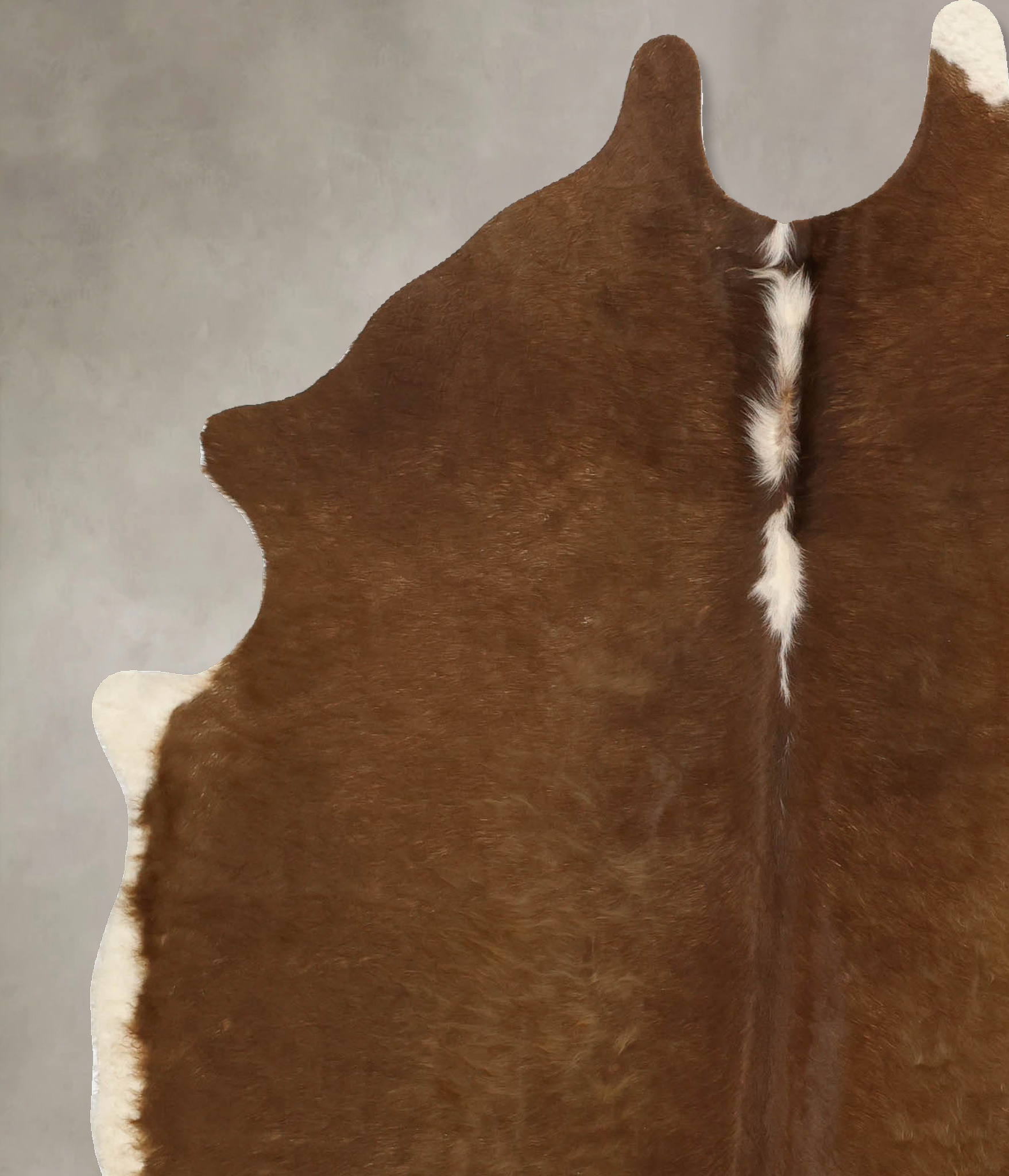 Brown and White Regular Cowhide Rug #B11096