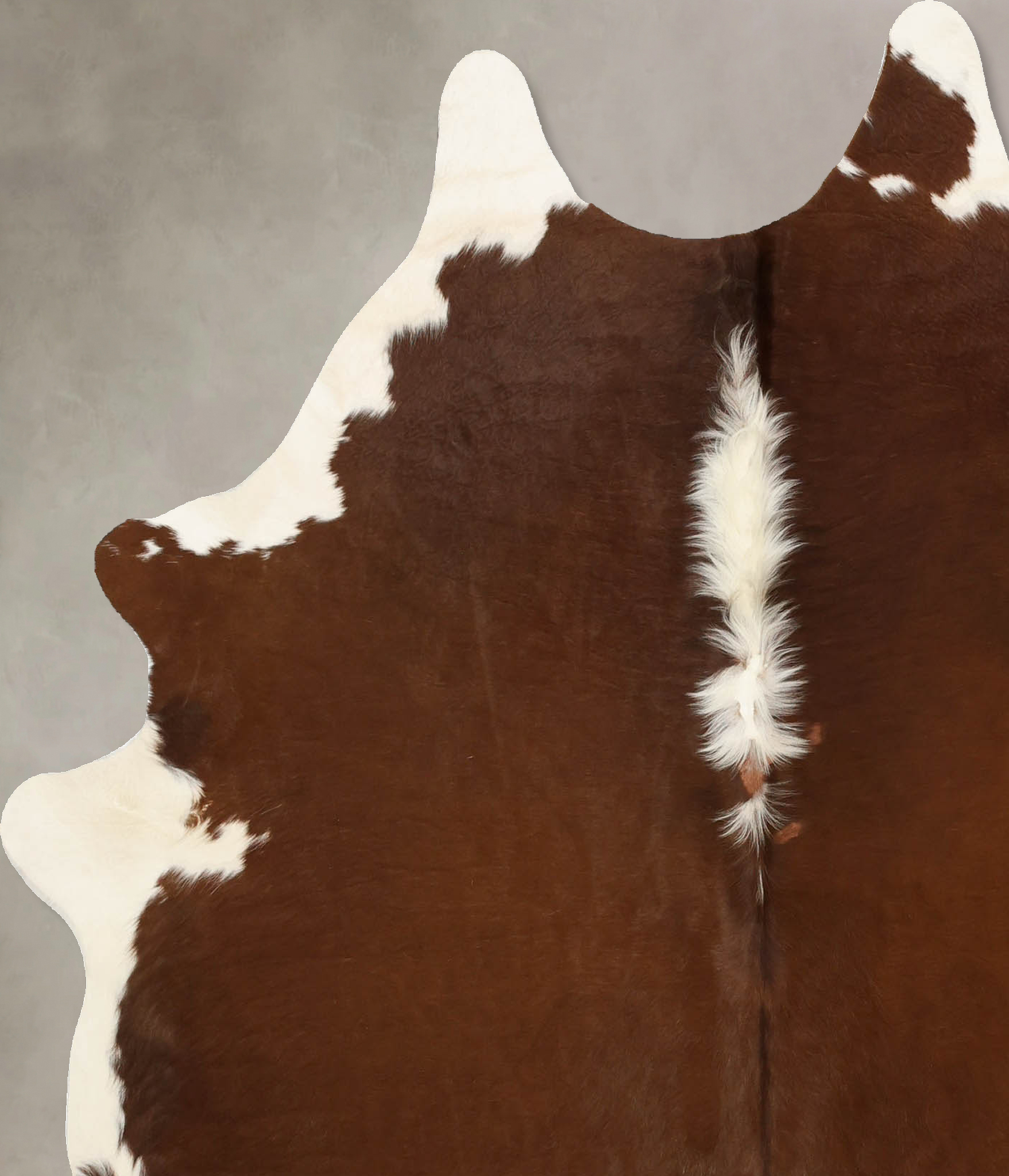 Brown and White Regular Cowhide Rug #B11097