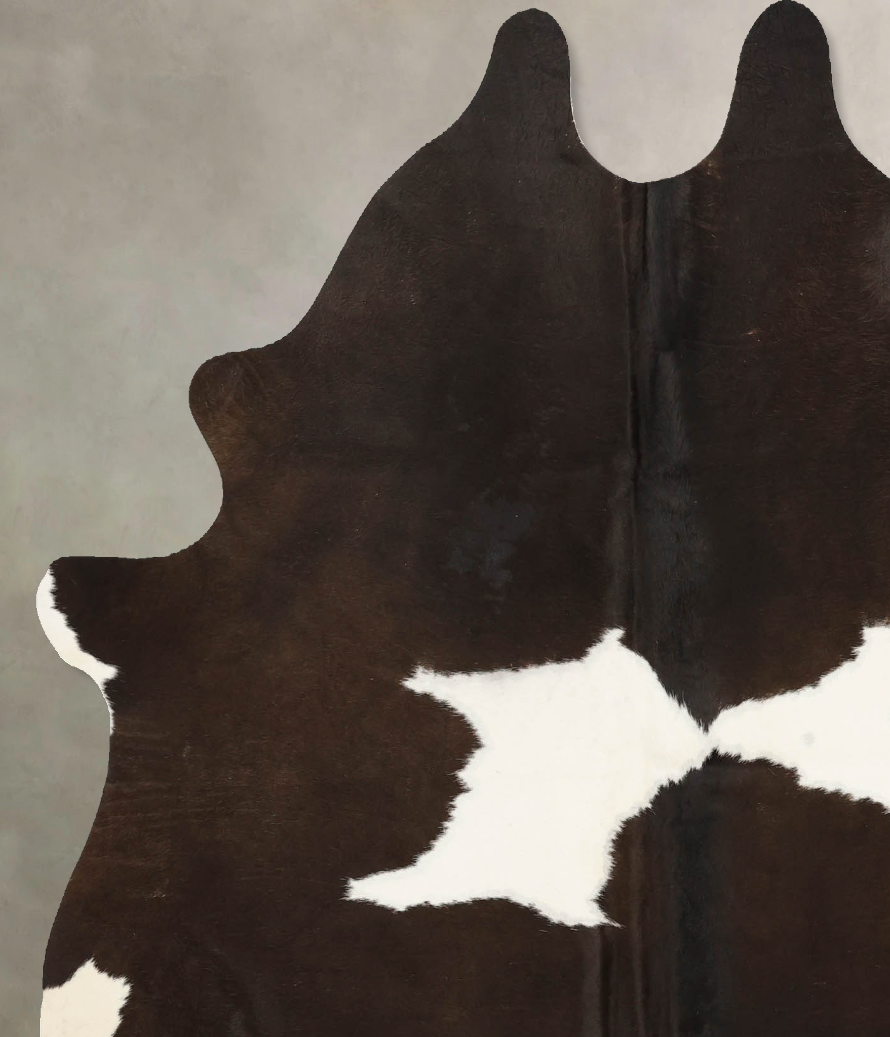 Chocolate and White Cowhide Rug #B11117