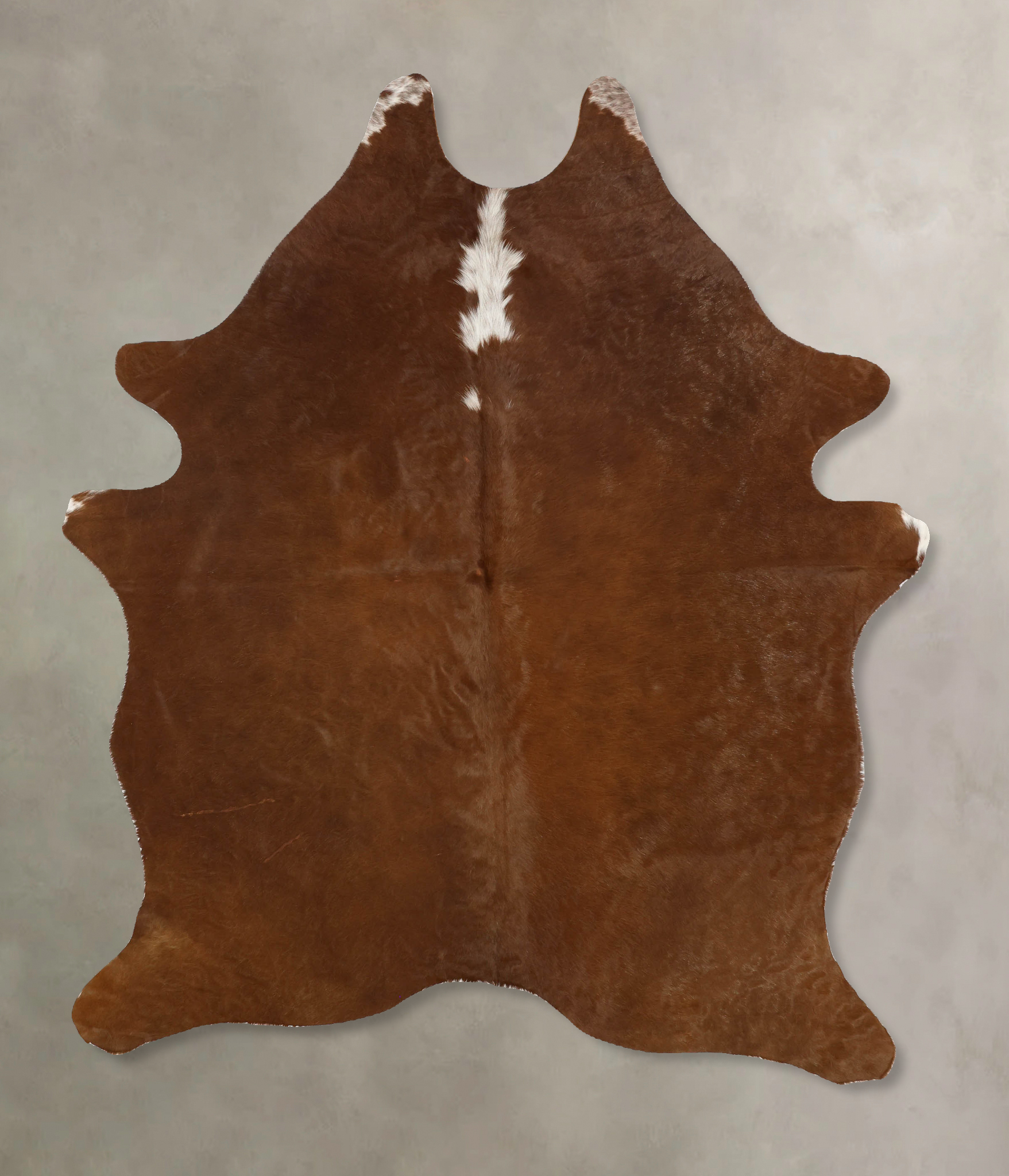 Brown and White Regular Cowhide Rug #B11126