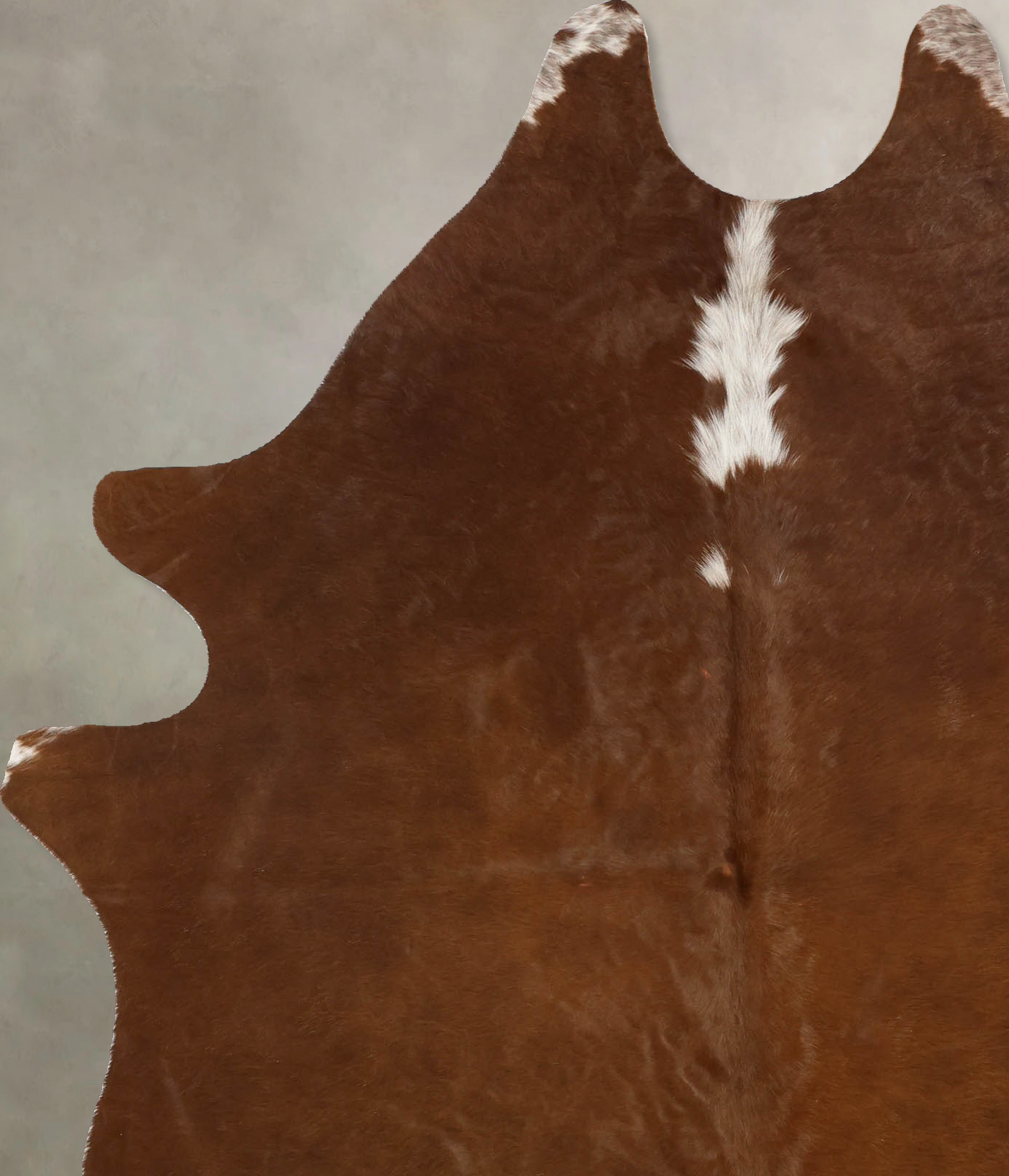 Brown and White Regular Cowhide Rug #B11126