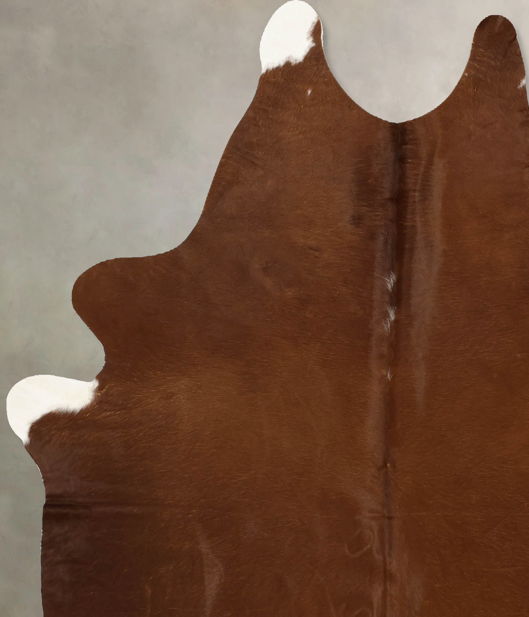 Solid Brown Cowhide Rug #B11131