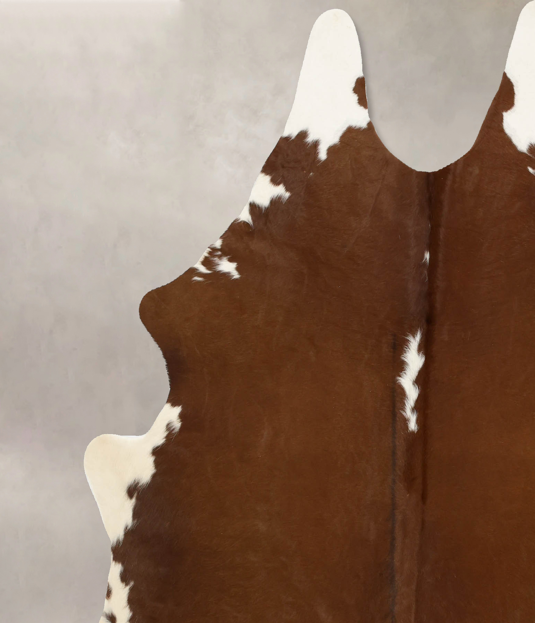 Brown and White Regular Cowhide Rug #B11133