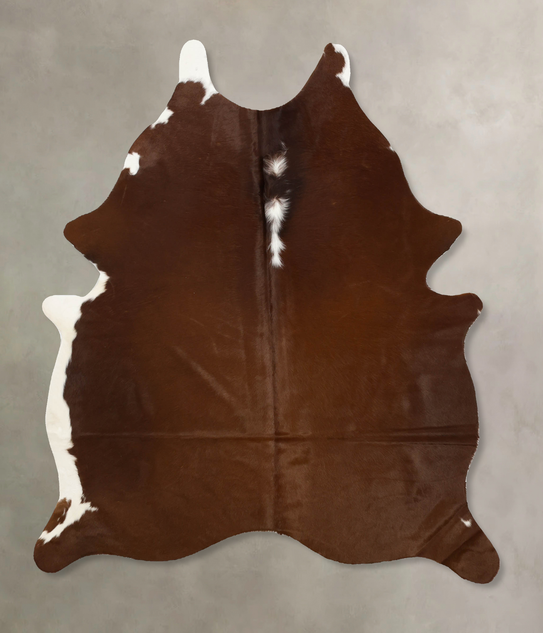 Brown and White Regular Cowhide Rug #B11136