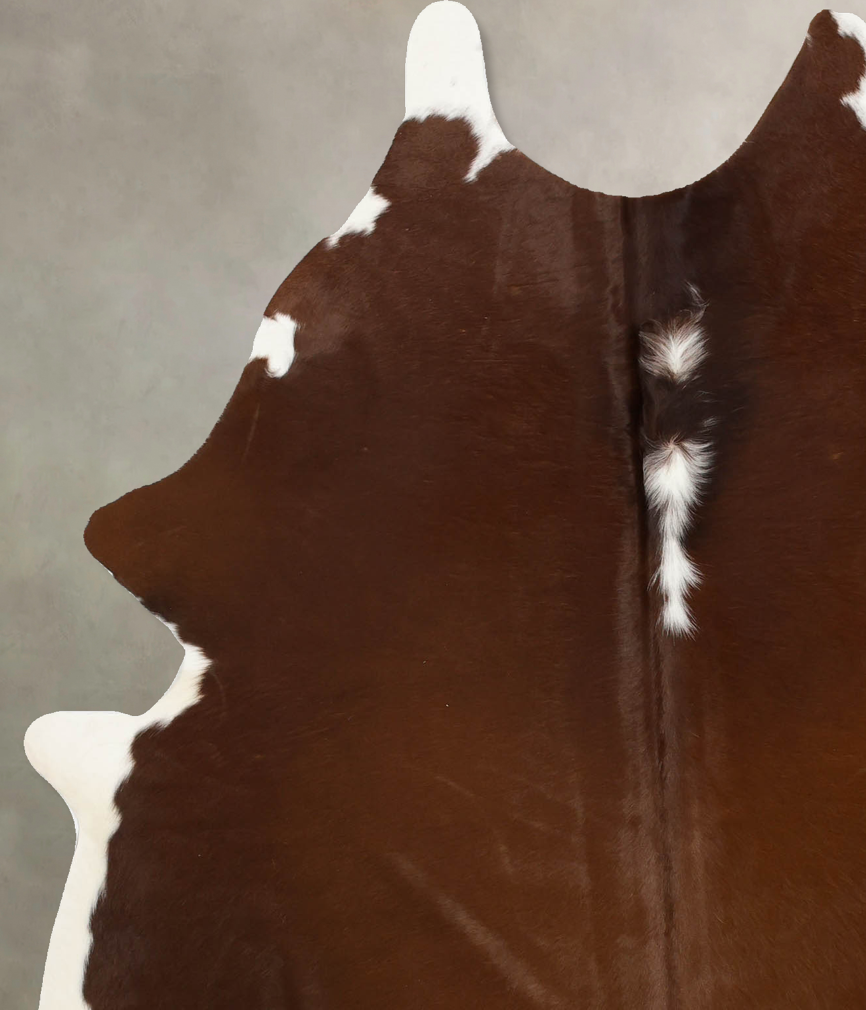 Brown and White Regular Cowhide Rug #B11136