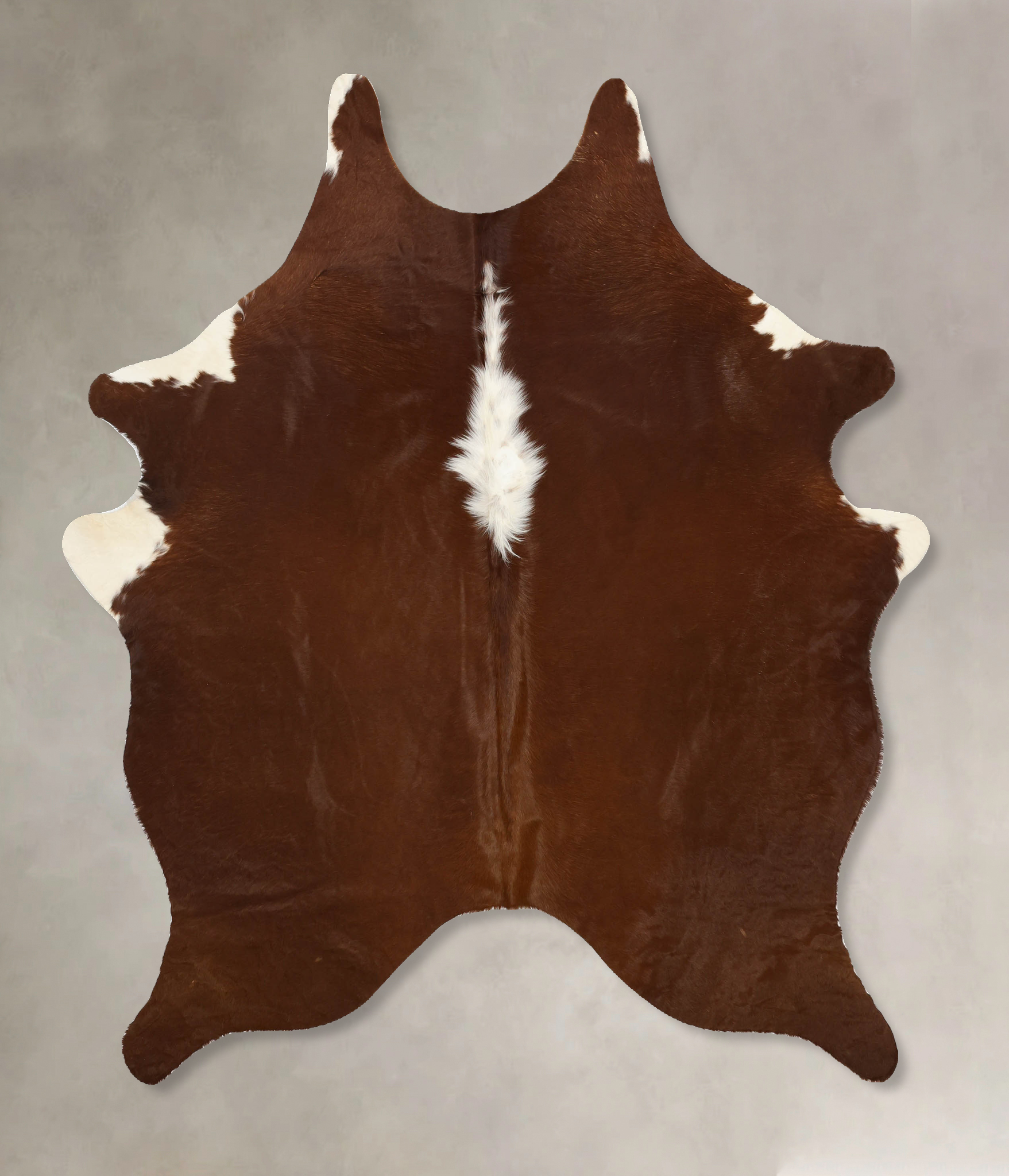 Brown and White Regular Cowhide Rug #B11137