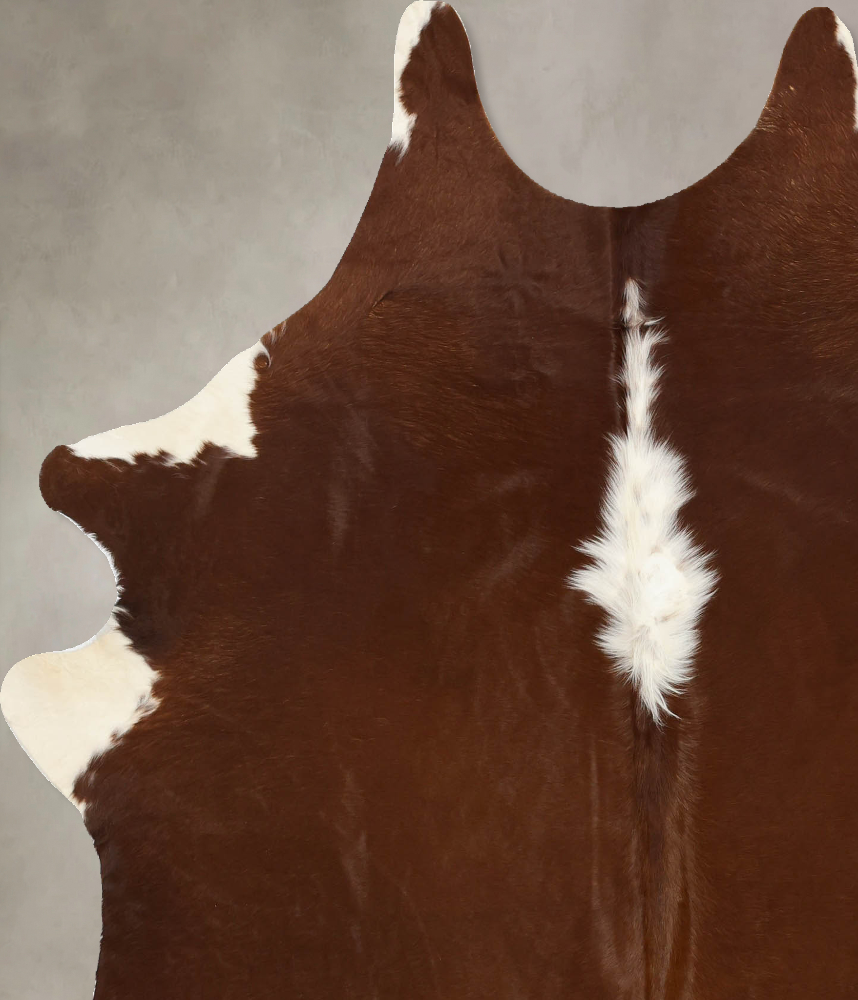 Brown and White Regular Cowhide Rug #B11137