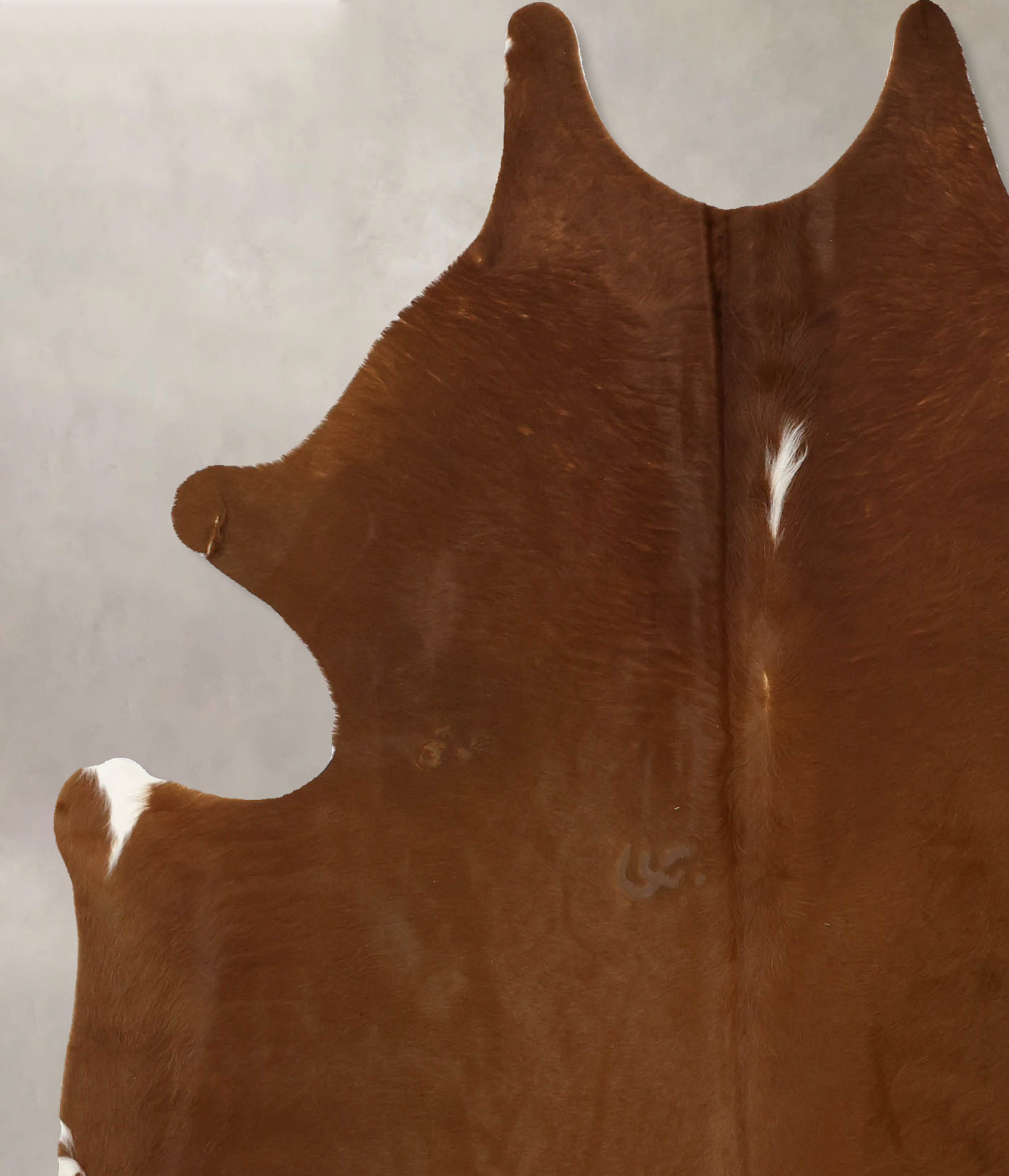 Solid Brown Cowhide Rug #B11138