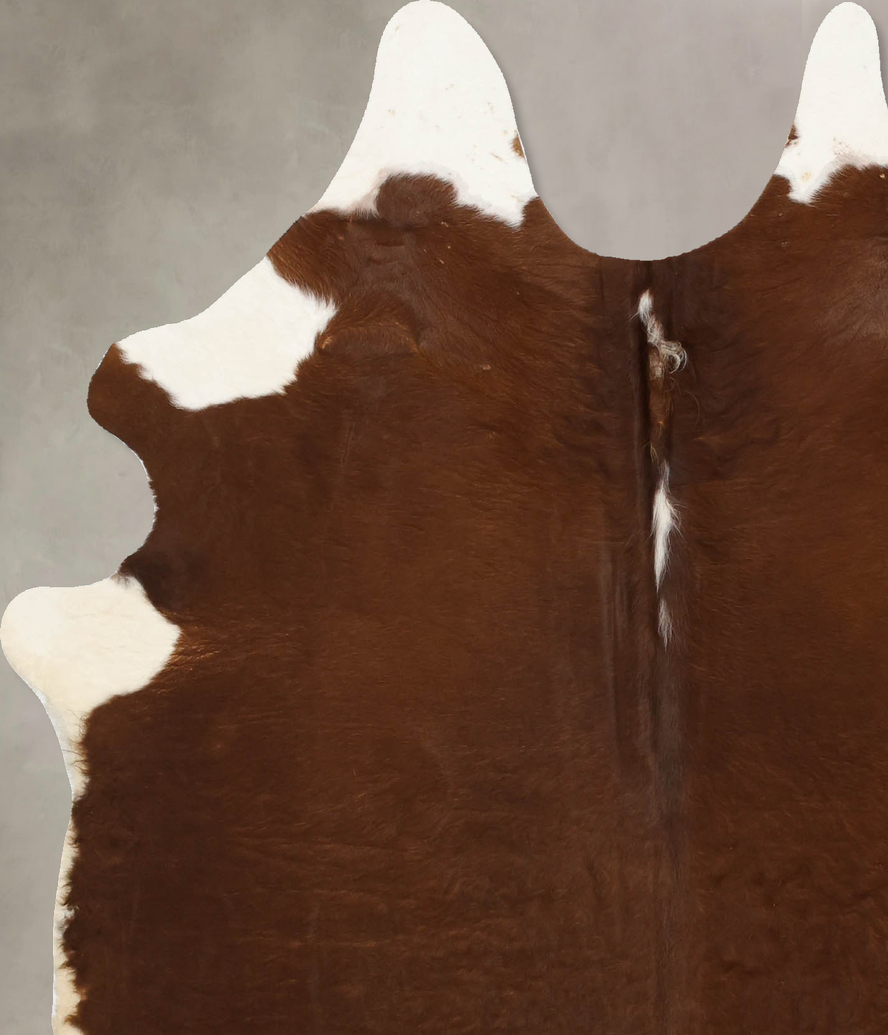 Brown and White Regular Cowhide Rug #B11139