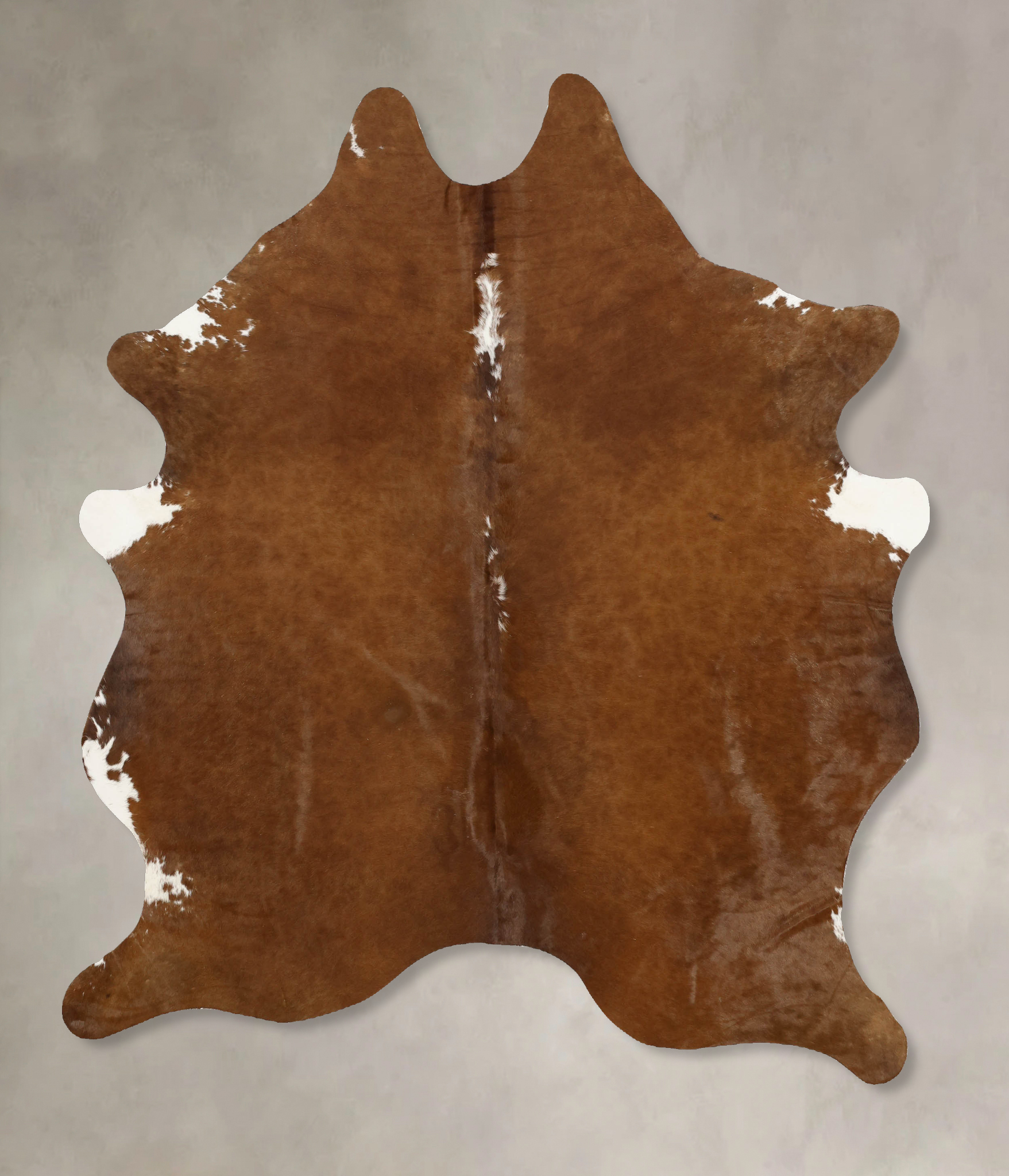 Brown and White Regular Cowhide Rug #B11140