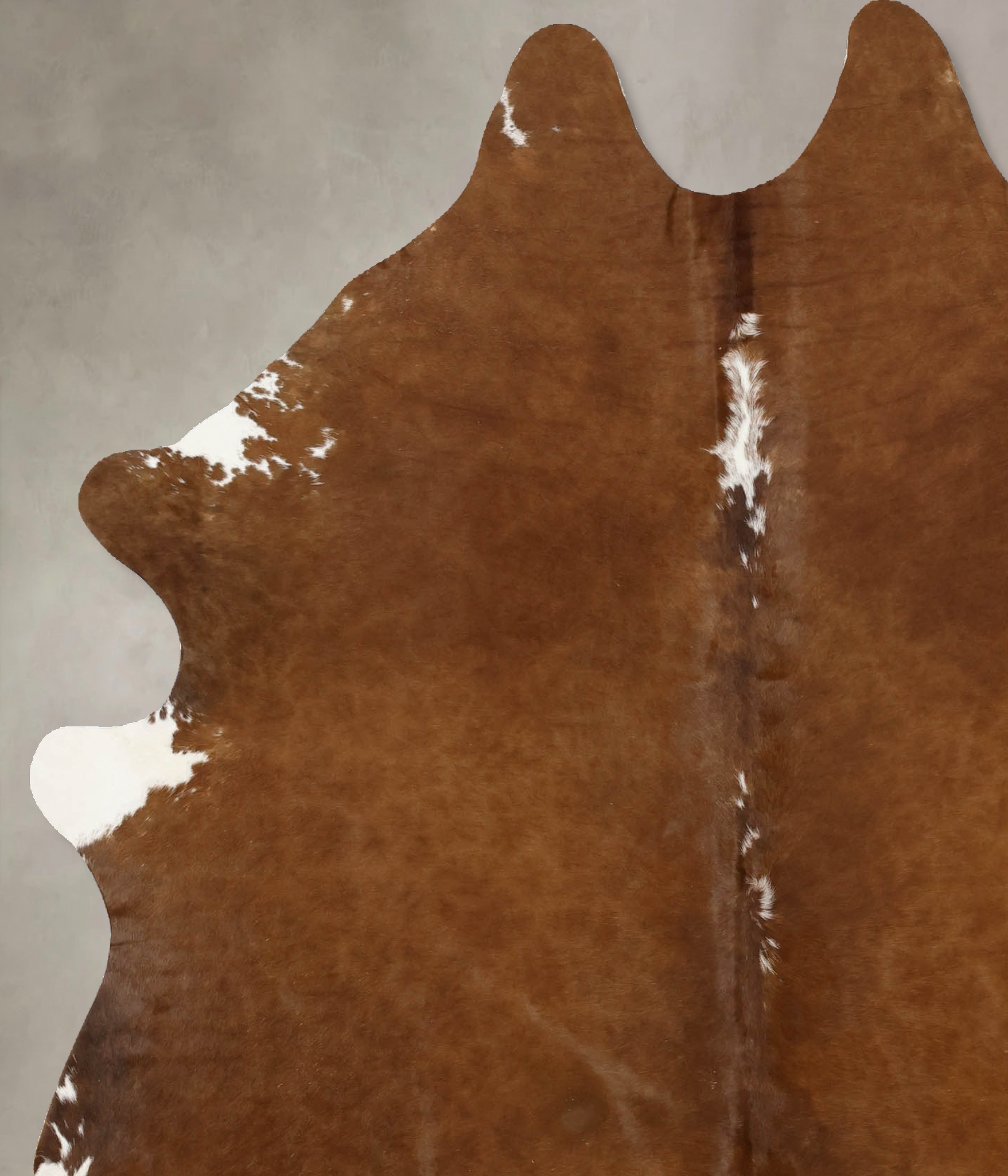 Brown and White Regular Cowhide Rug #B11140