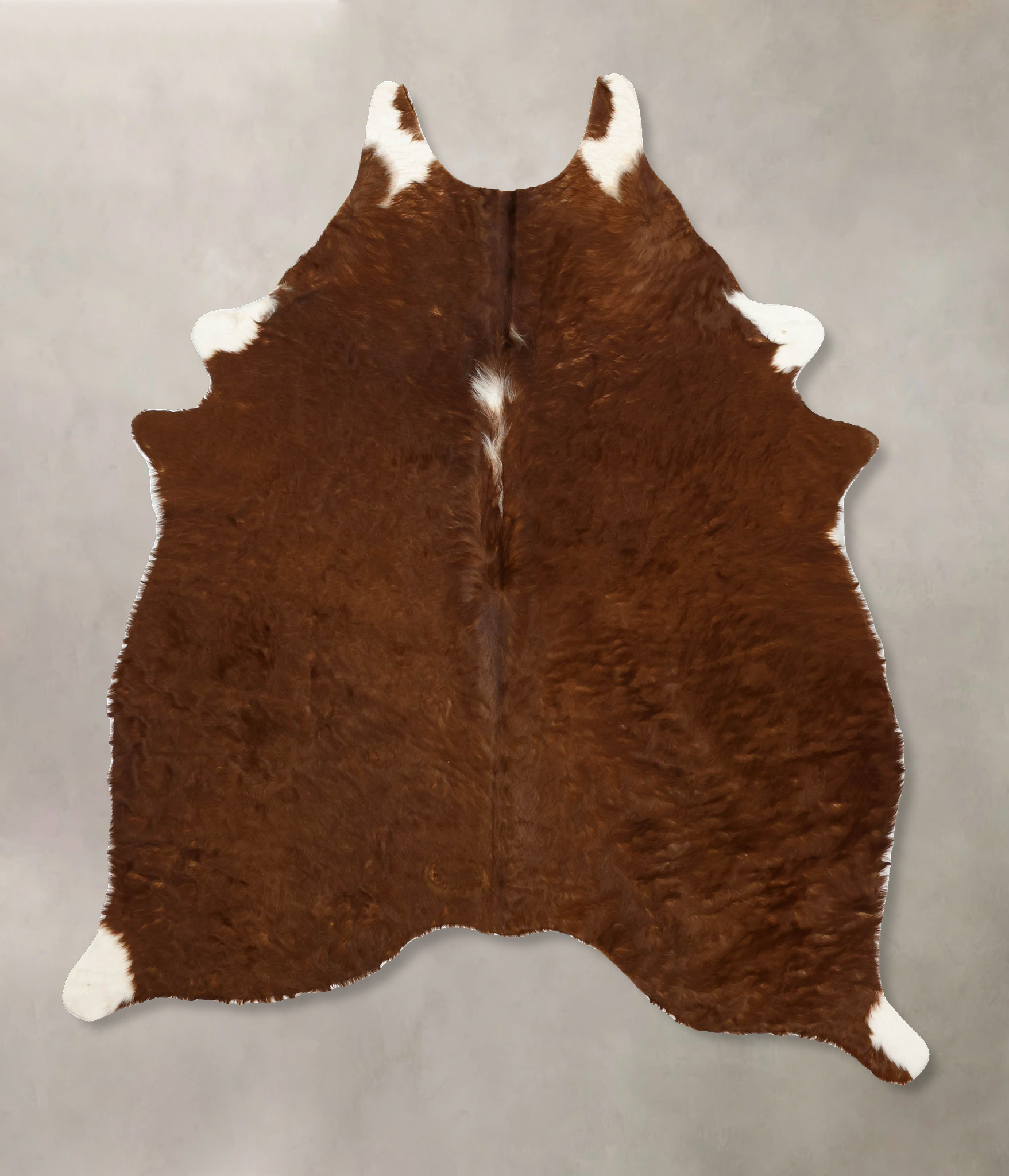 Brown and White Regular Cowhide Rug #B11153