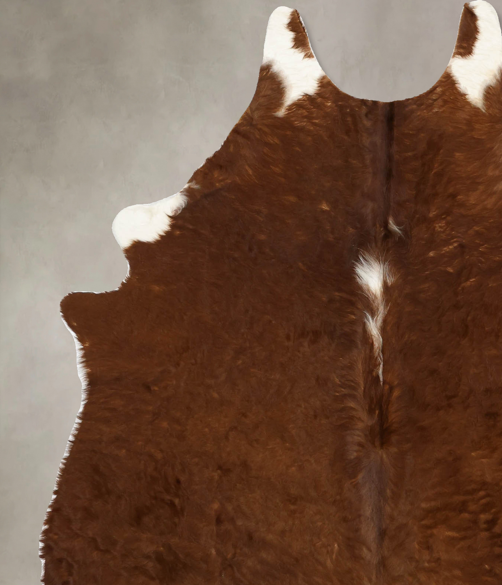 Brown and White Regular Cowhide Rug #B11153