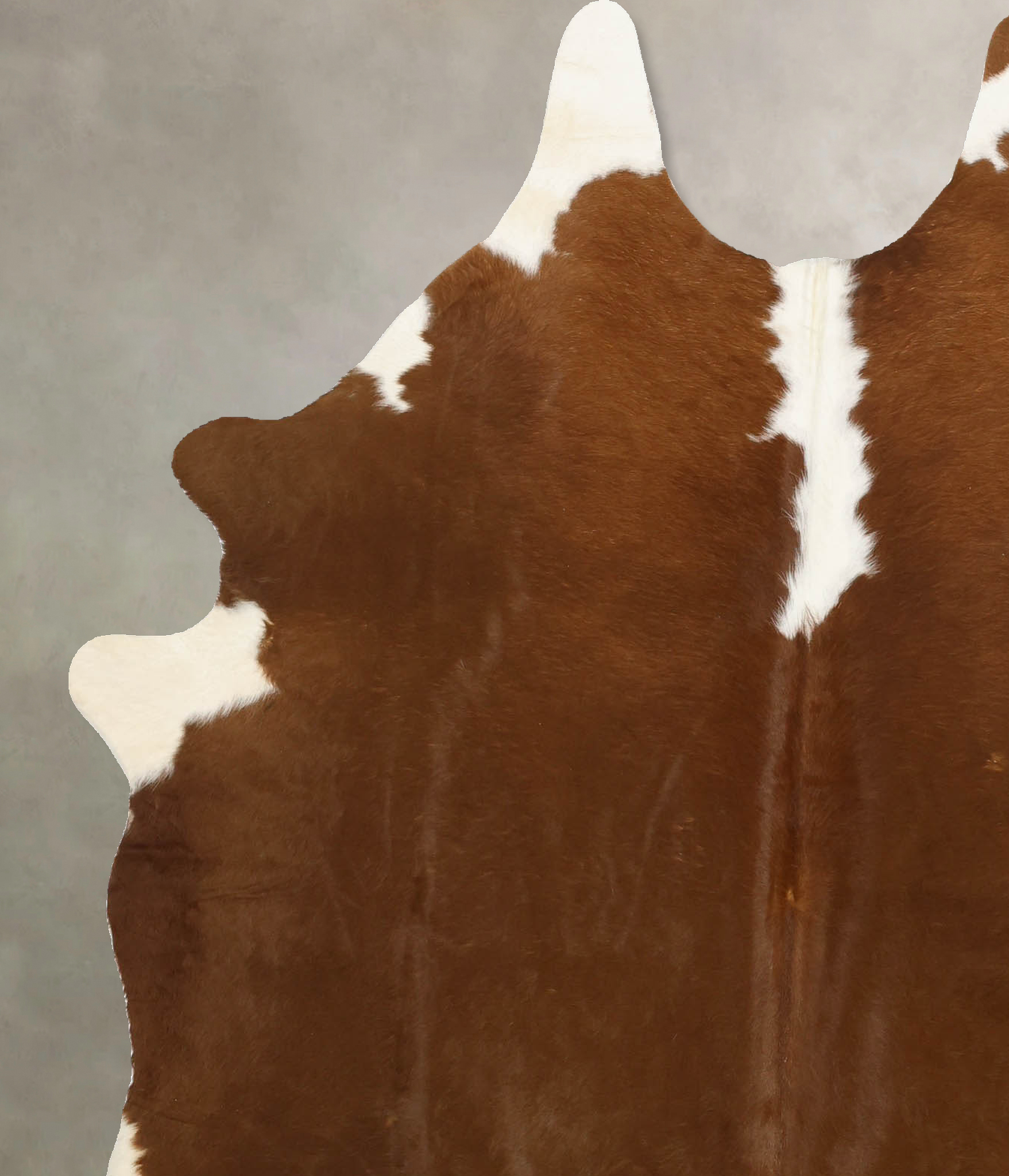 Brown and White Regular Cowhide Rug #B11154