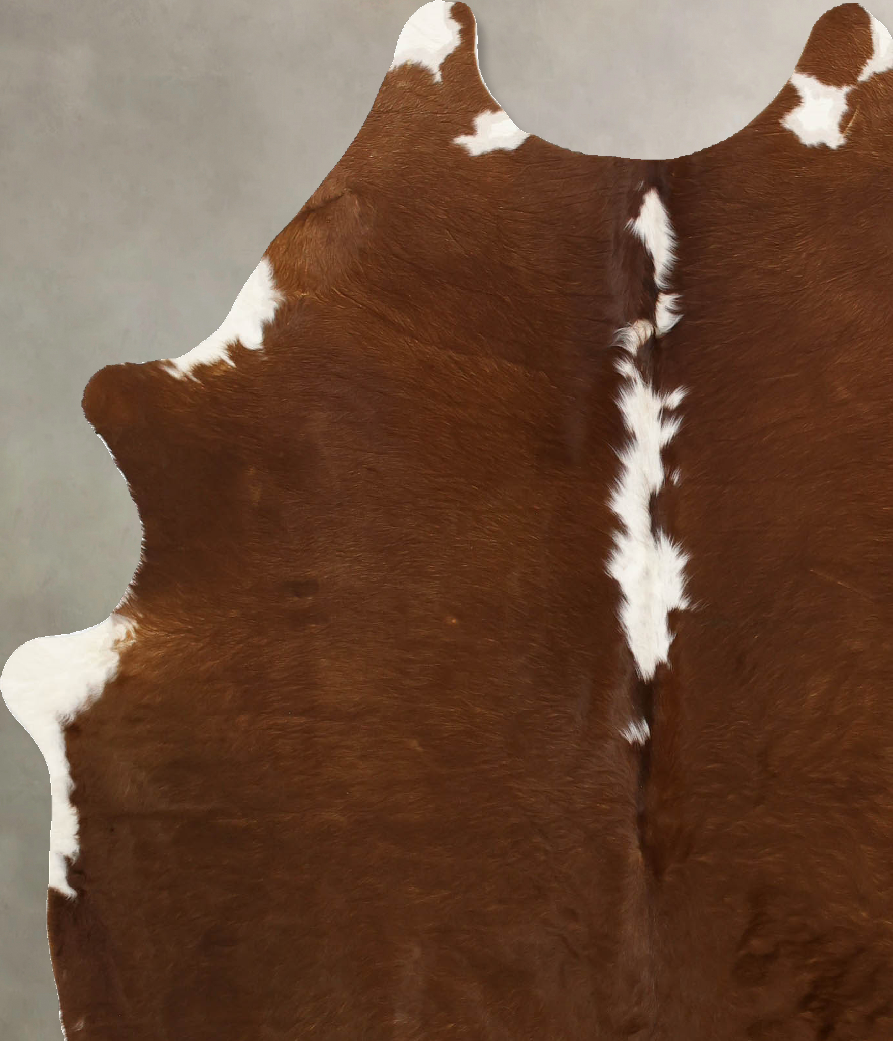 Brown and White Regular Cowhide Rug #B11156