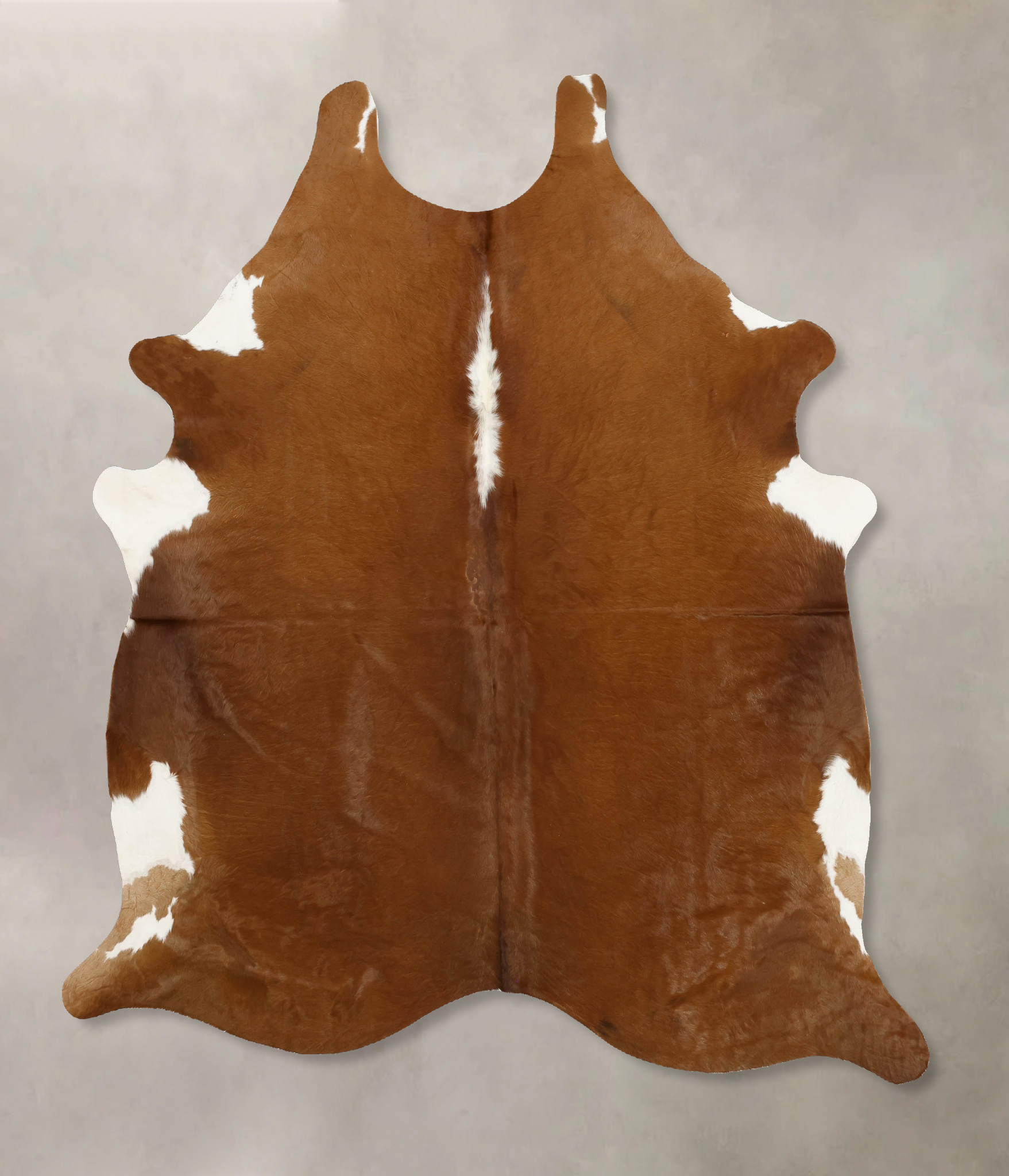 Brown and White Regular Cowhide Rug #B11163