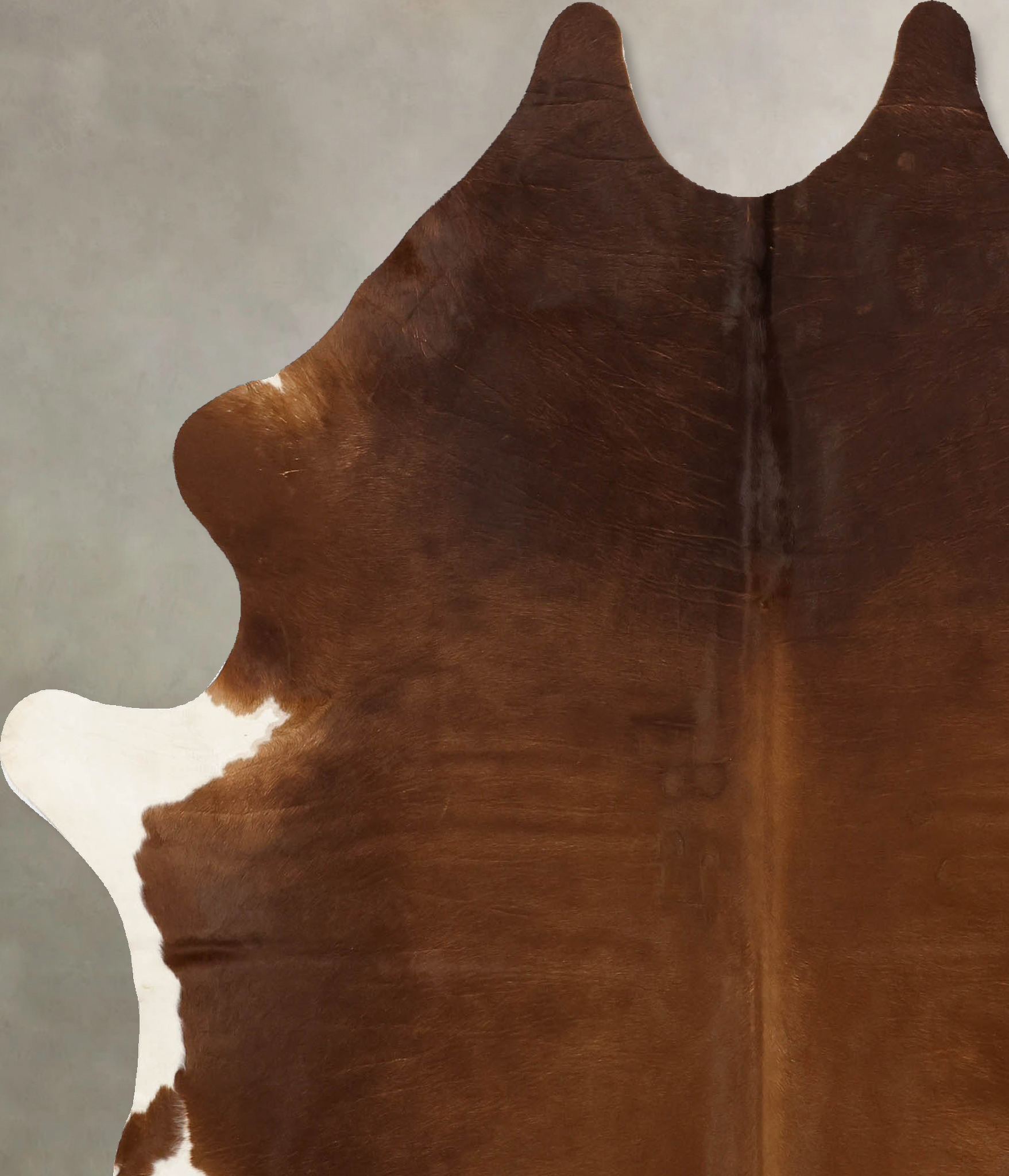 Solid Brown Cowhide Rug #B11166