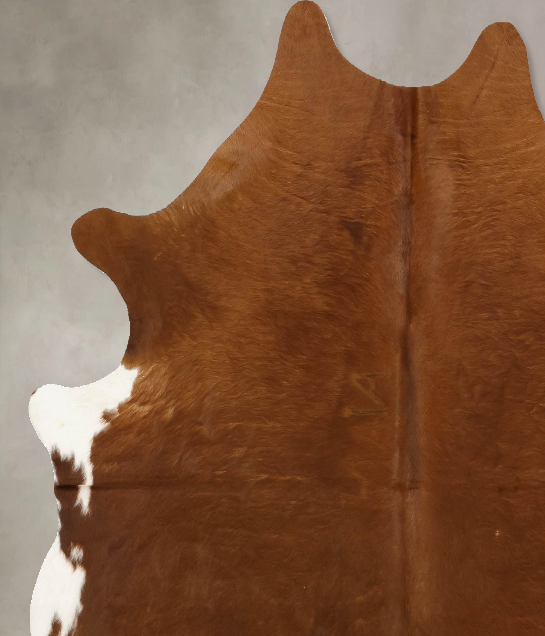 Solid Brown Cowhide Rug #B11169